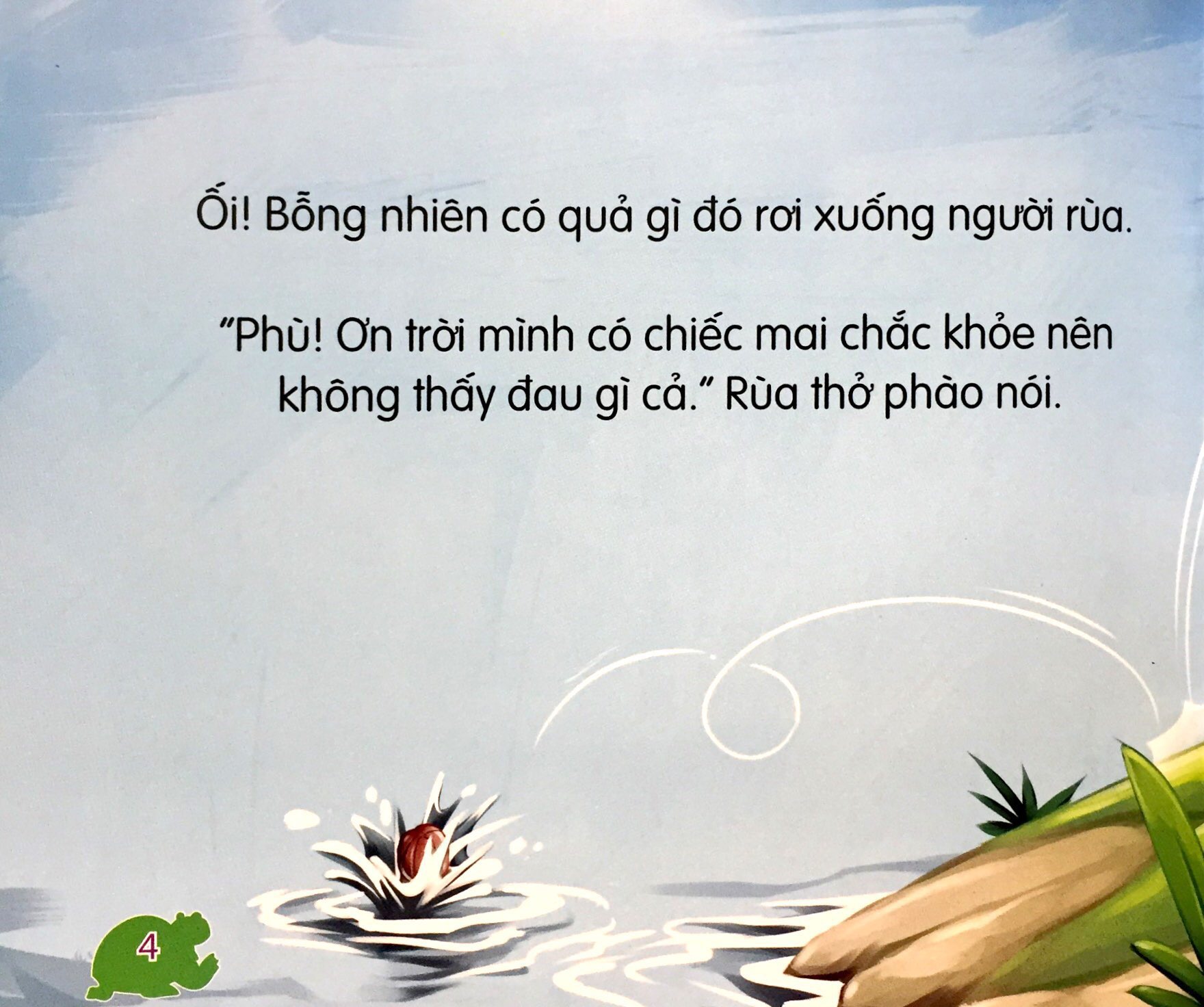 những loài vật đáng kinh ngạc - rùa chậm mà chắc - Ảnh 4