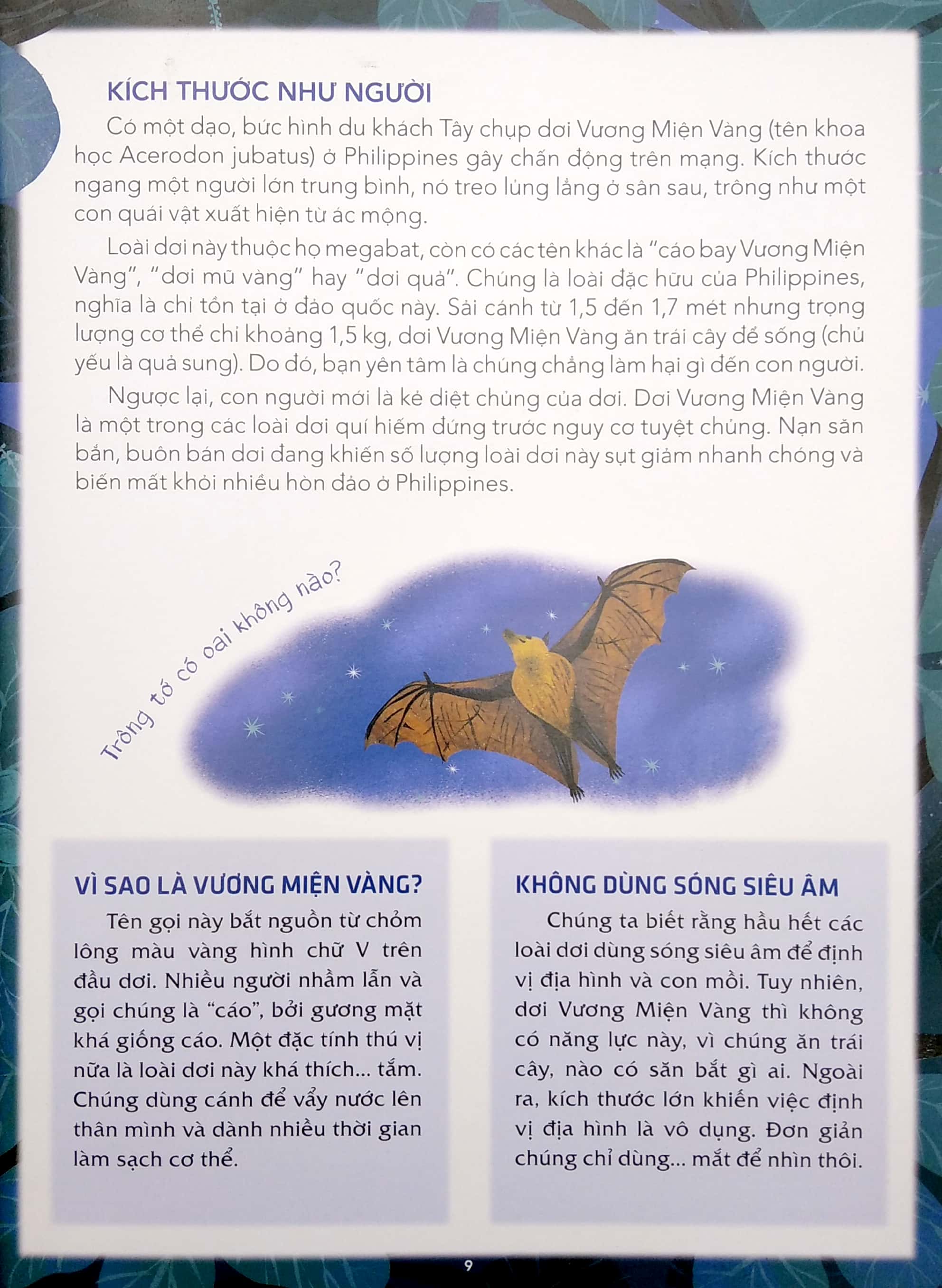 những loài vật kì lạ nhất quả đất - Ảnh 7