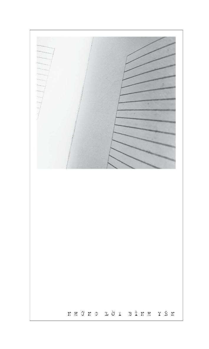 những lời bình yên - Ảnh 8