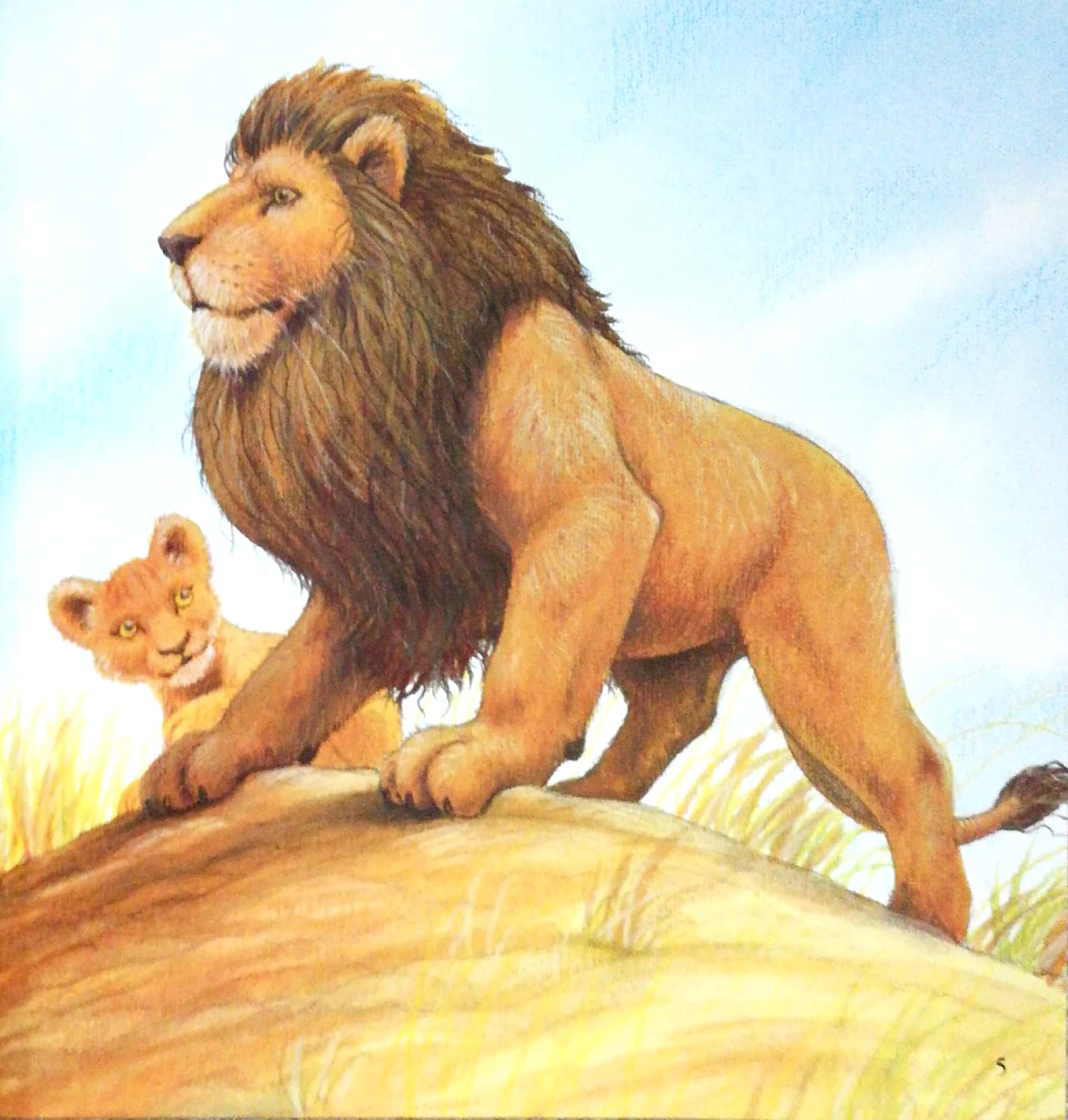 những lời yêu thương của con trẻ dành tặng các bố - vì sao tớ yêu bố (tái bản 2024) - Ảnh 4