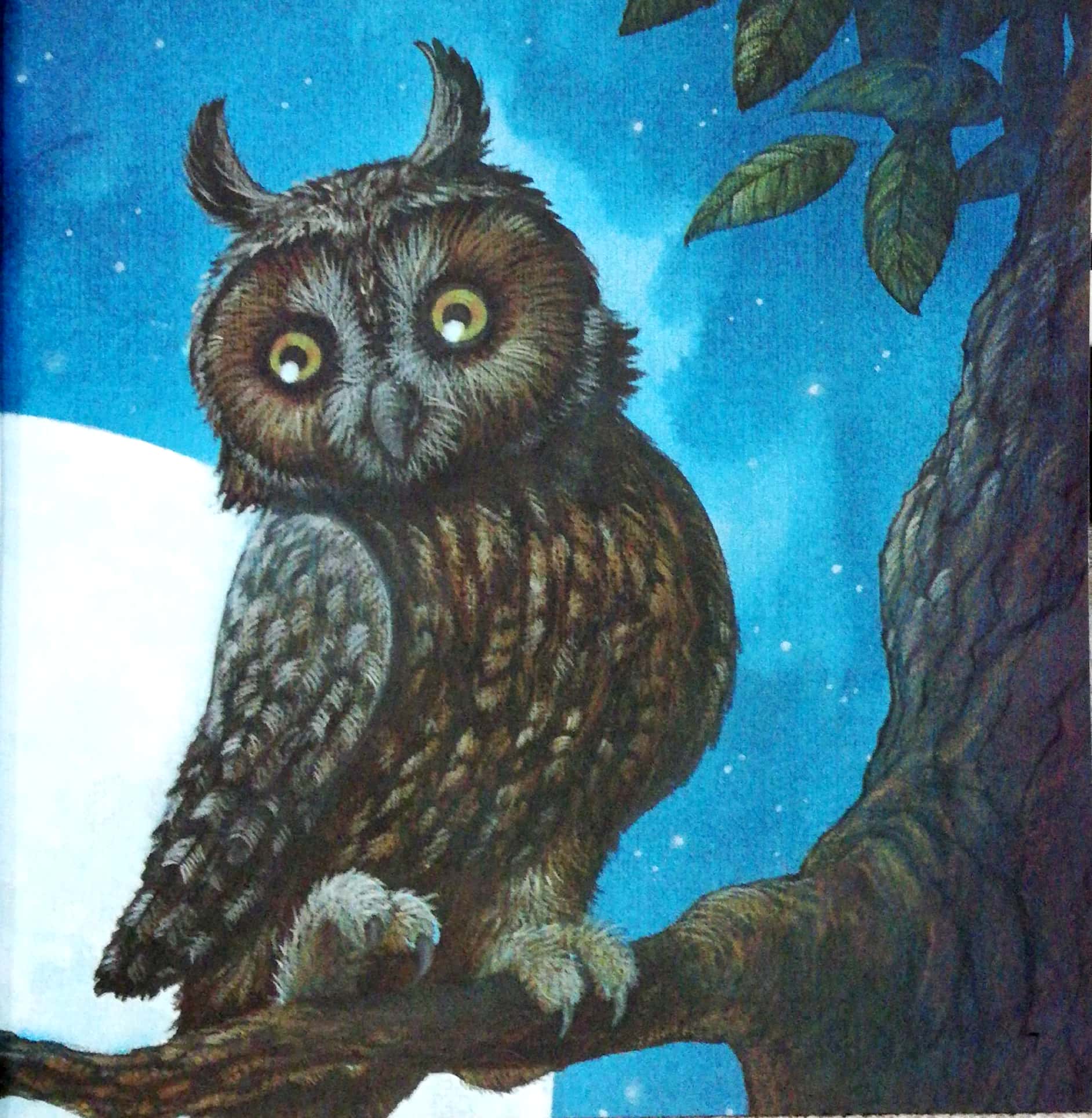 những lời yêu thương của con trẻ dành tặng các bố - vì sao tớ yêu bố (tái bản 2024) - Ảnh 6