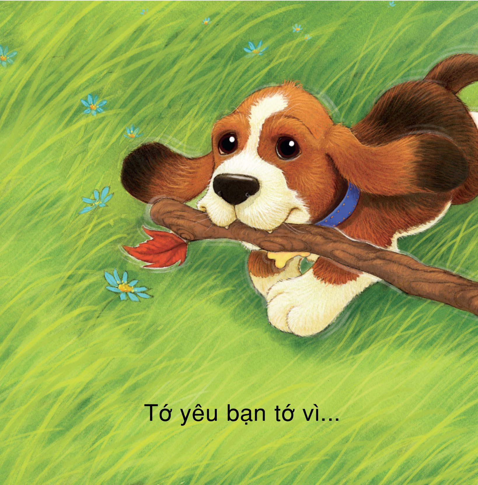 những lời yêu thương dành tặng bạn bè - vì sao tớ yêu bạn bè - Ảnh 4