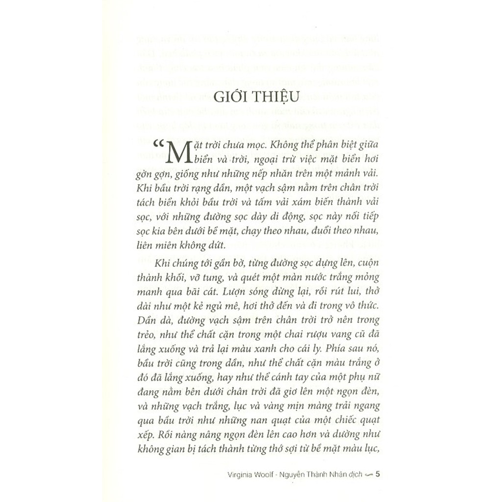 những lớp sóng - the waves - Ảnh 3