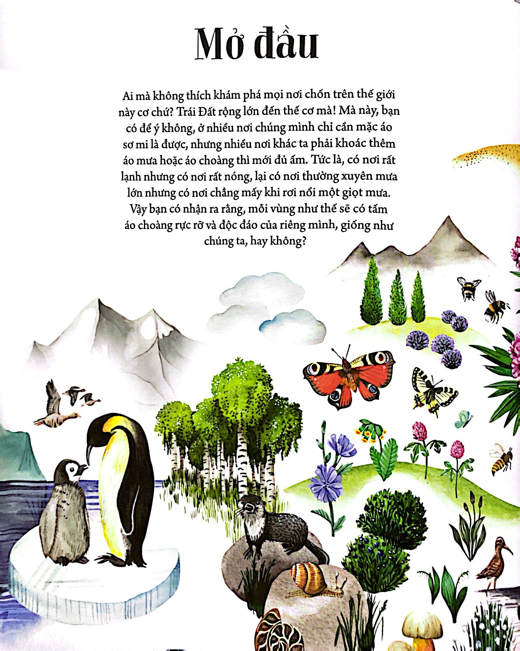 những mảnh ghép đa sắc của các hệ sinh thái - Ảnh 4