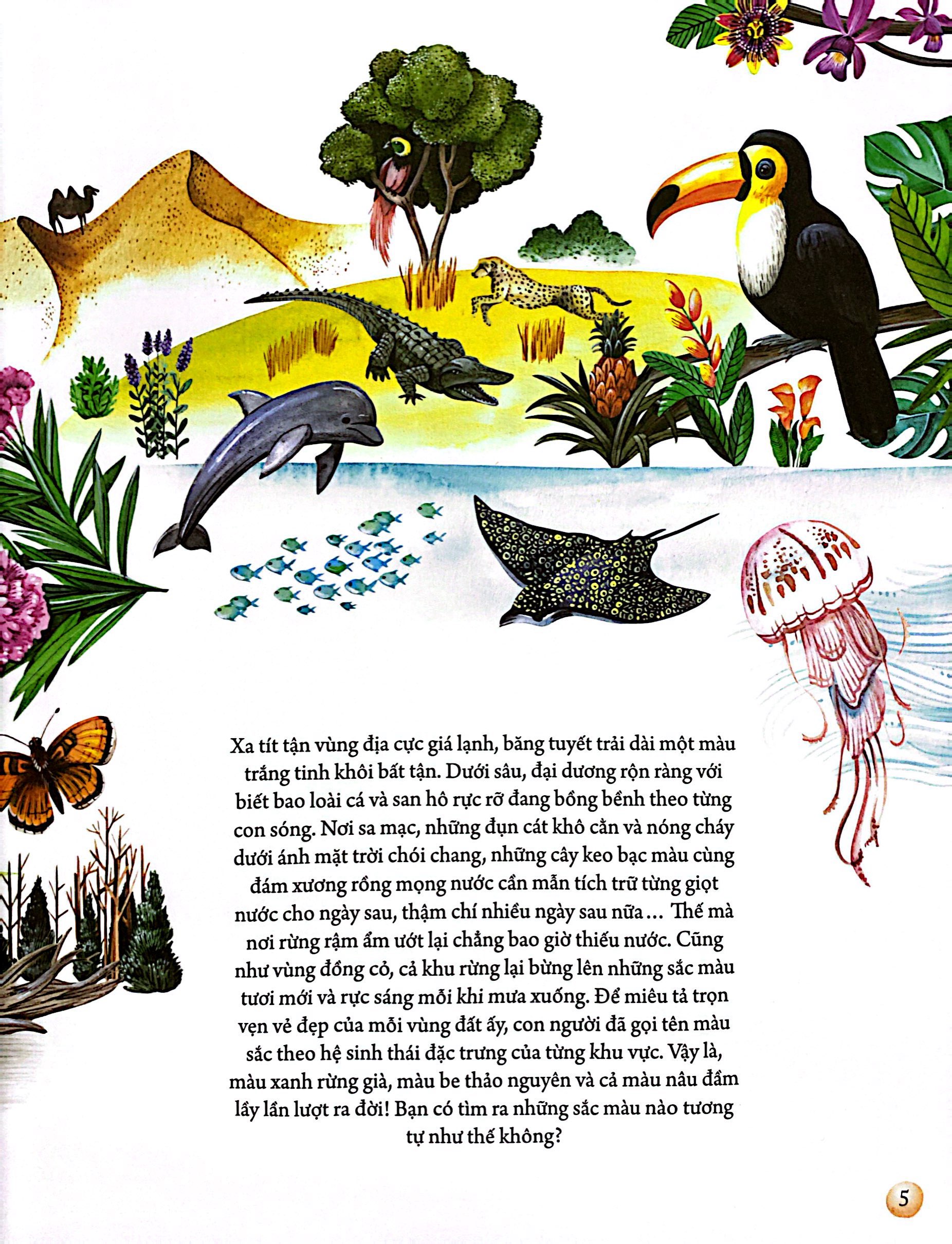 những mảnh ghép đa sắc của các hệ sinh thái - Ảnh 5