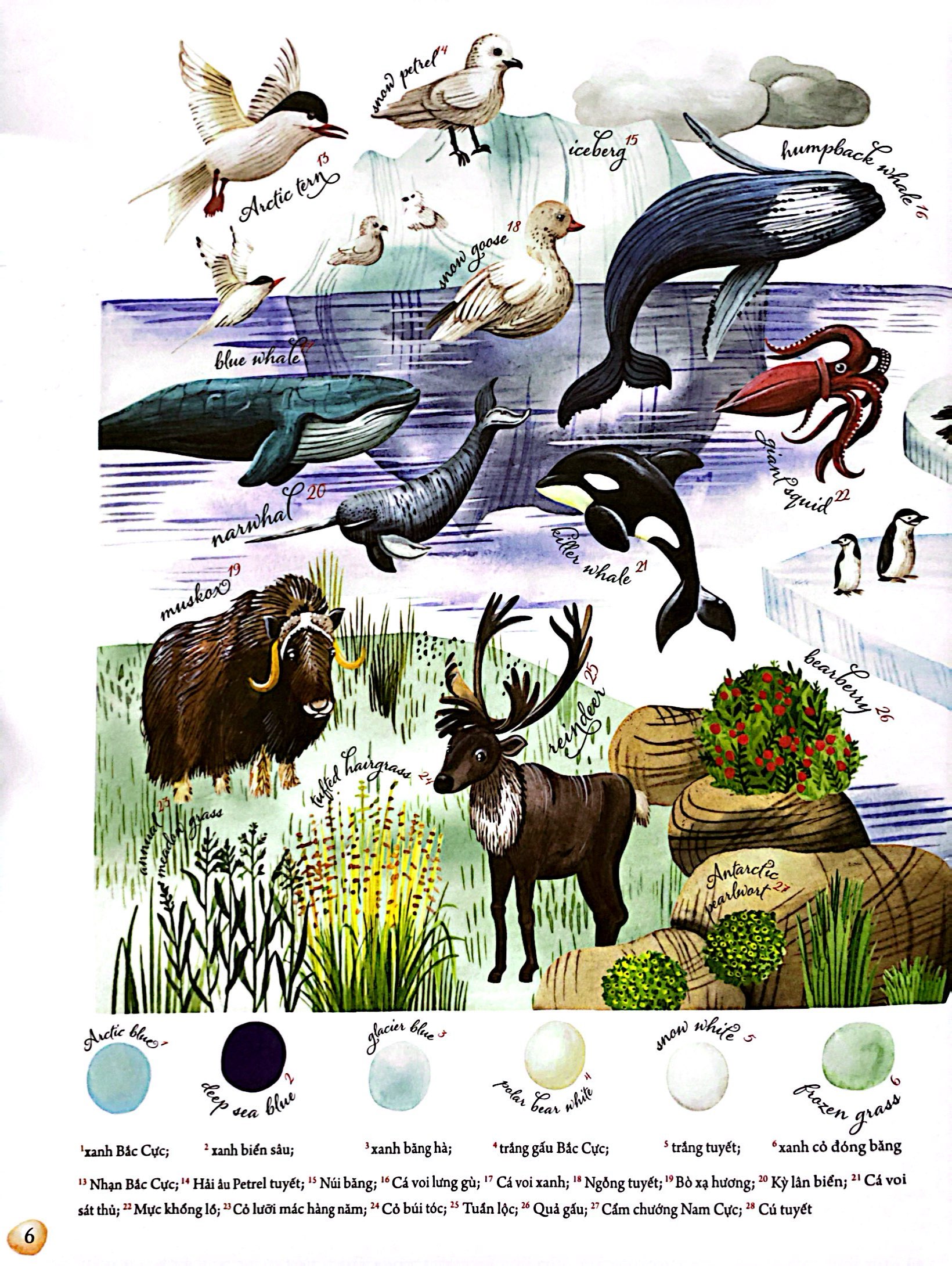 những mảnh ghép đa sắc của các hệ sinh thái - Ảnh 6