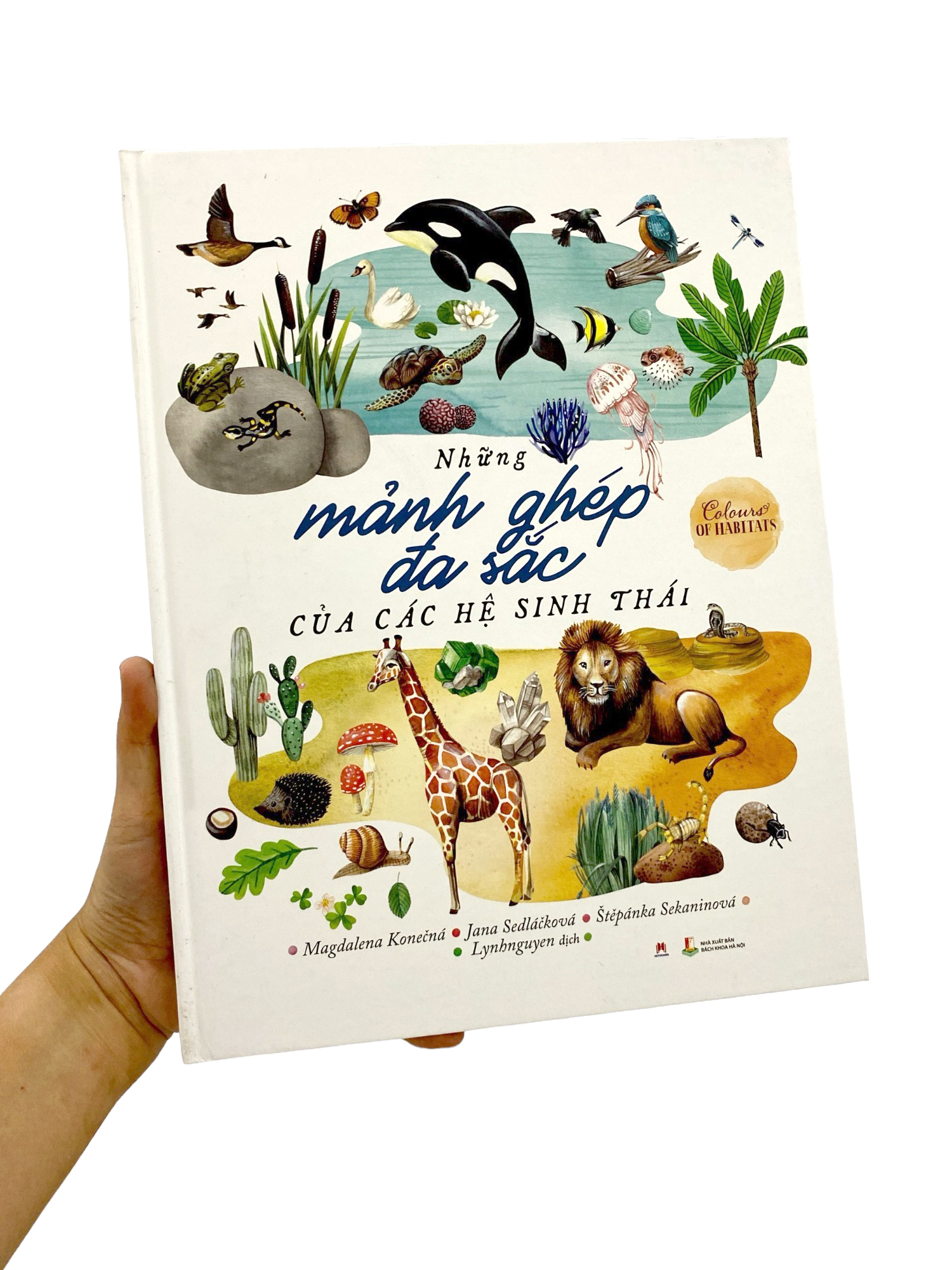 những mảnh ghép đa sắc của các hệ sinh thái - Ảnh 9