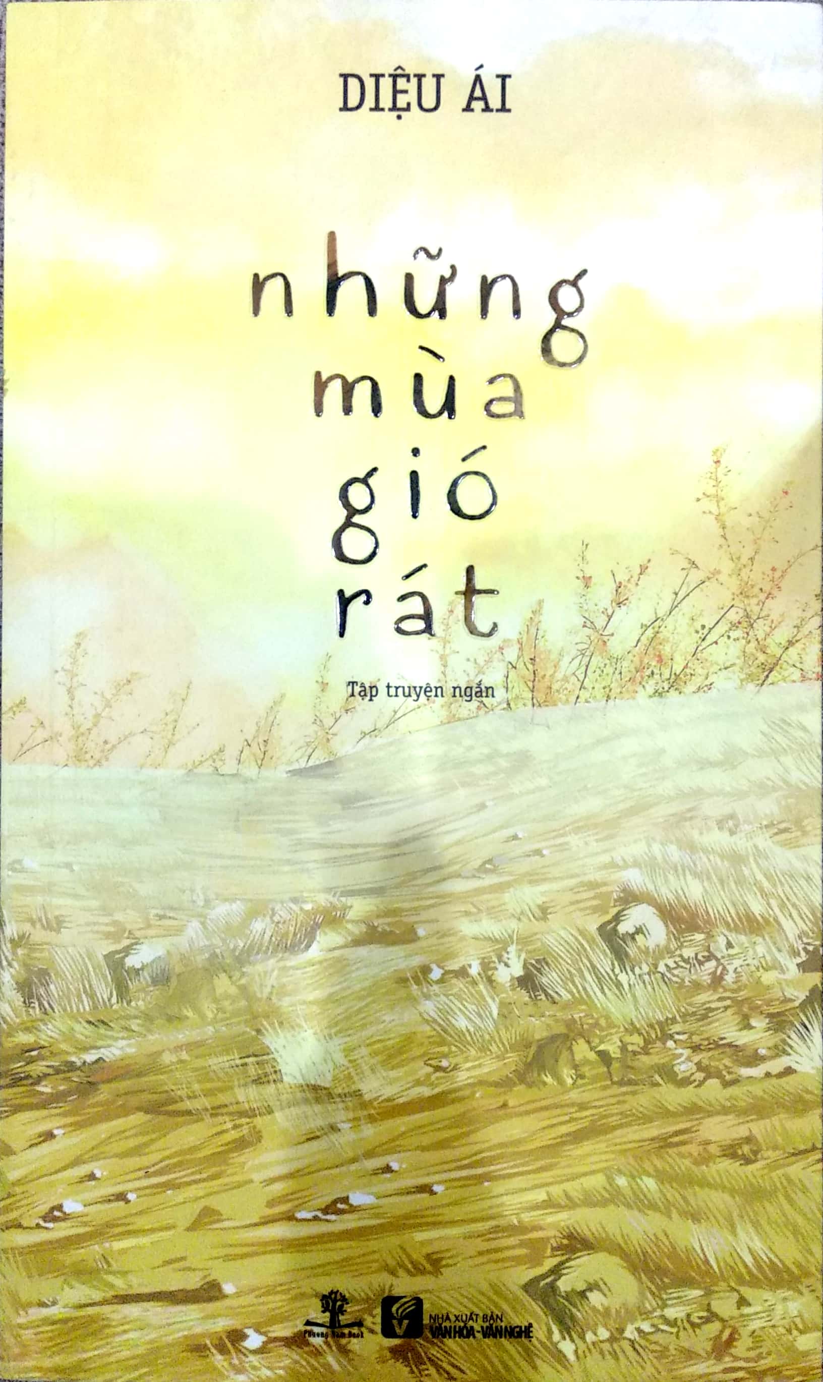 những mùa gió rát - Ảnh 3