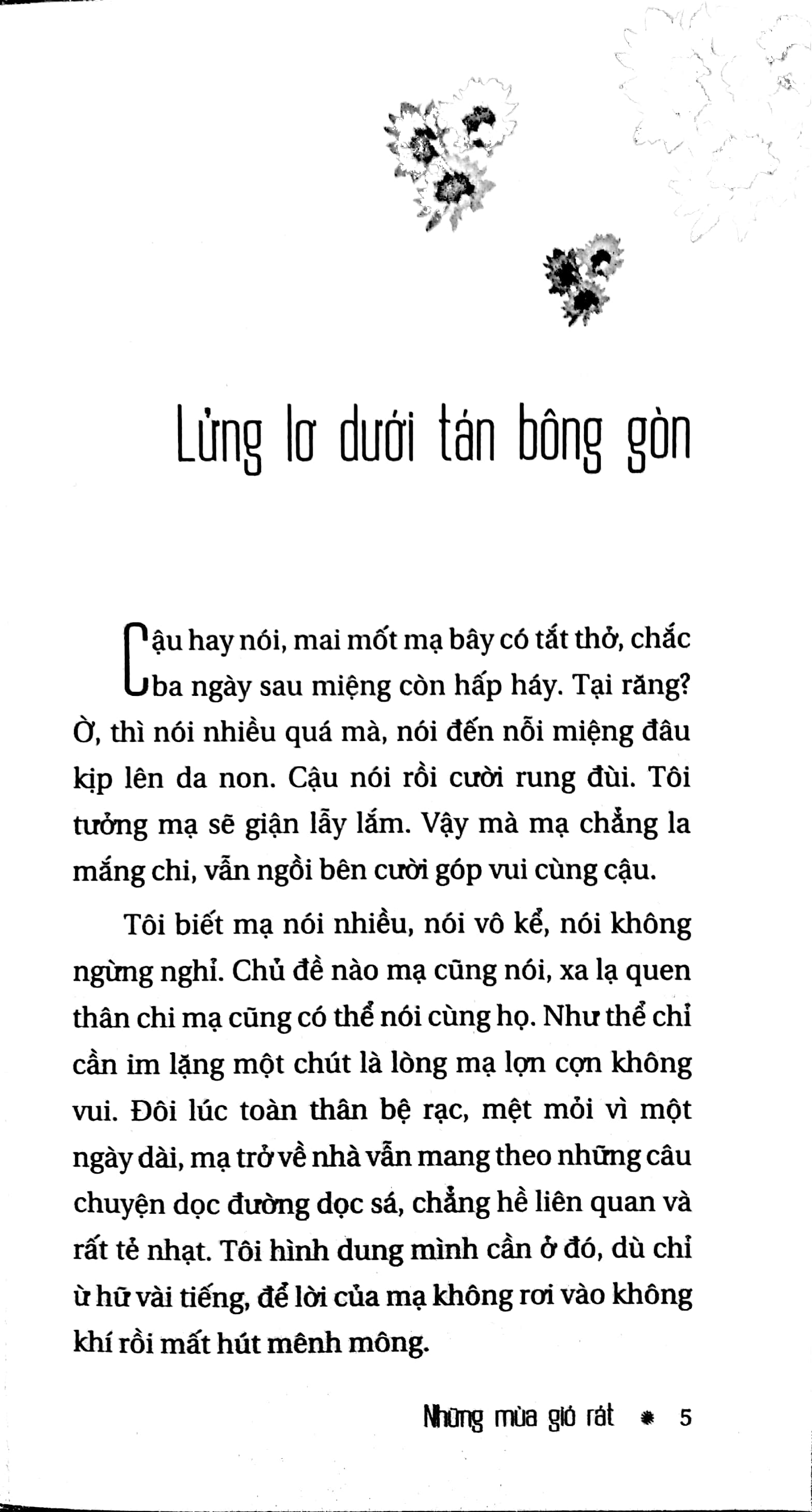 những mùa gió rát - Ảnh 4