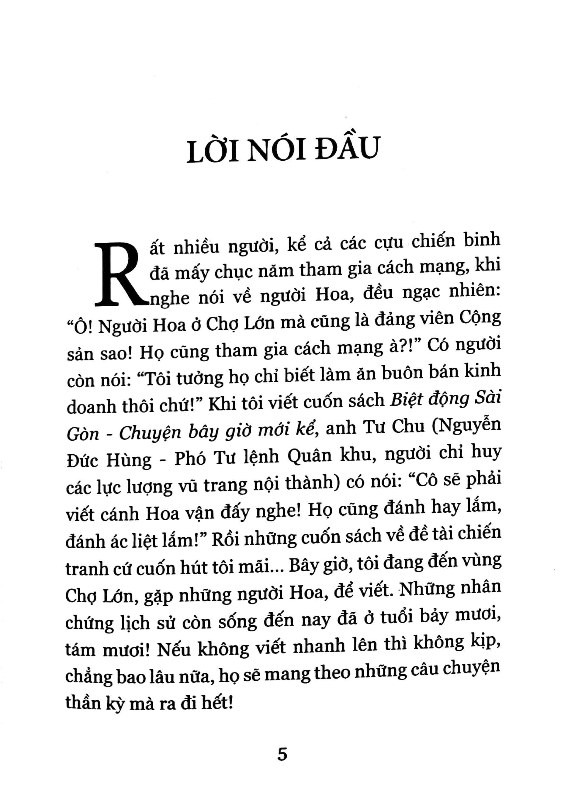 những mũi tên đồng vùng chợ lớn - Ảnh 2