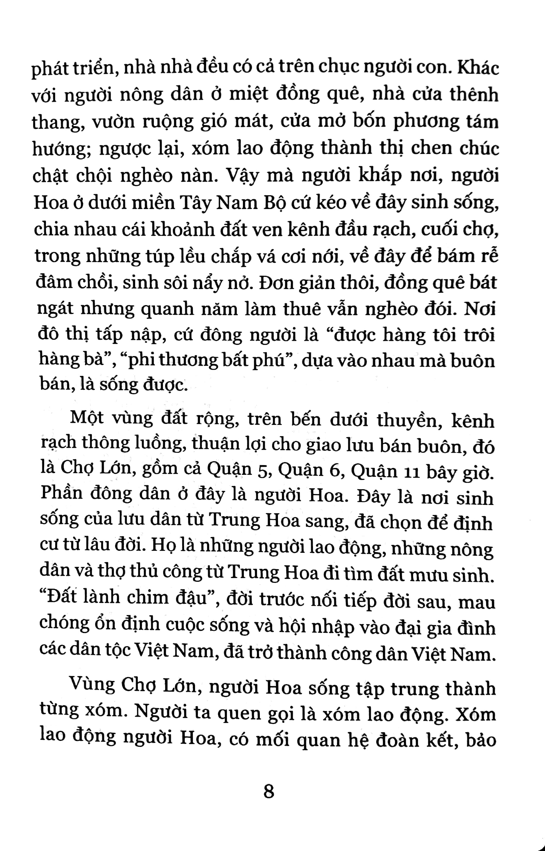những mũi tên đồng vùng chợ lớn - Ảnh 5