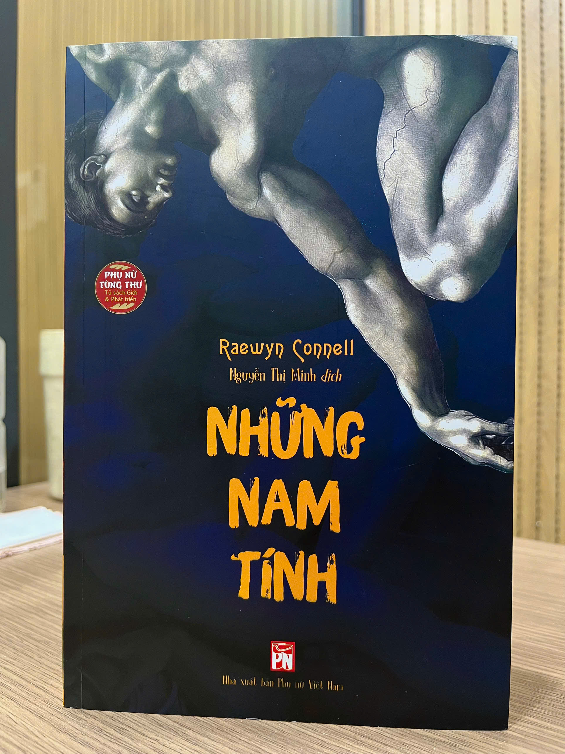 Những Nam Tính - Một Công Trình Kinh Điển Về Nam Tính, Quyền Lực Và Xã Hội - Ảnh 3