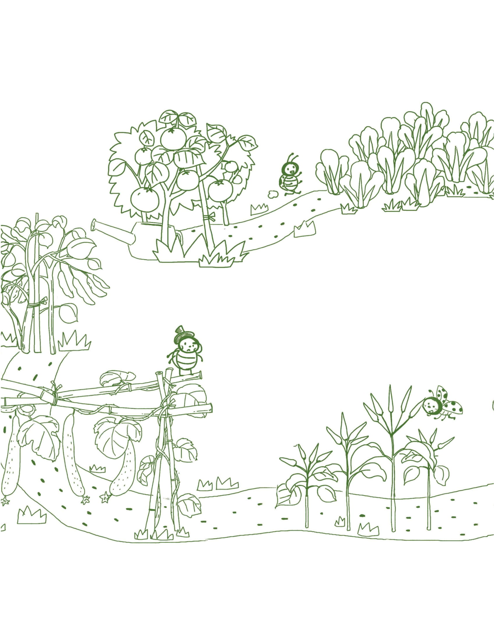 những ngón tay bận rộn - trong vườn rau - Ảnh 5