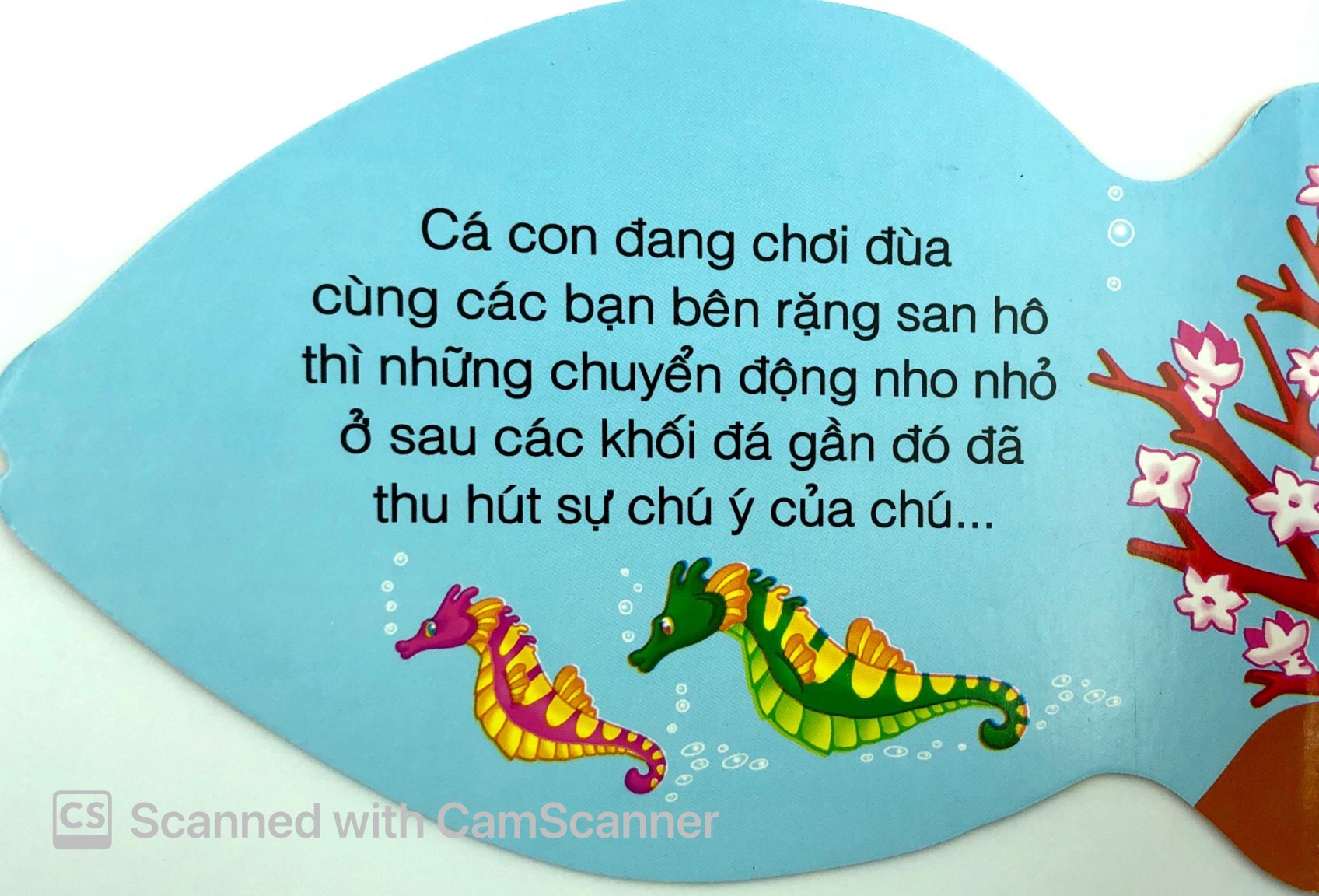 những người bạn tốt - cá con thân thiện - Ảnh 3