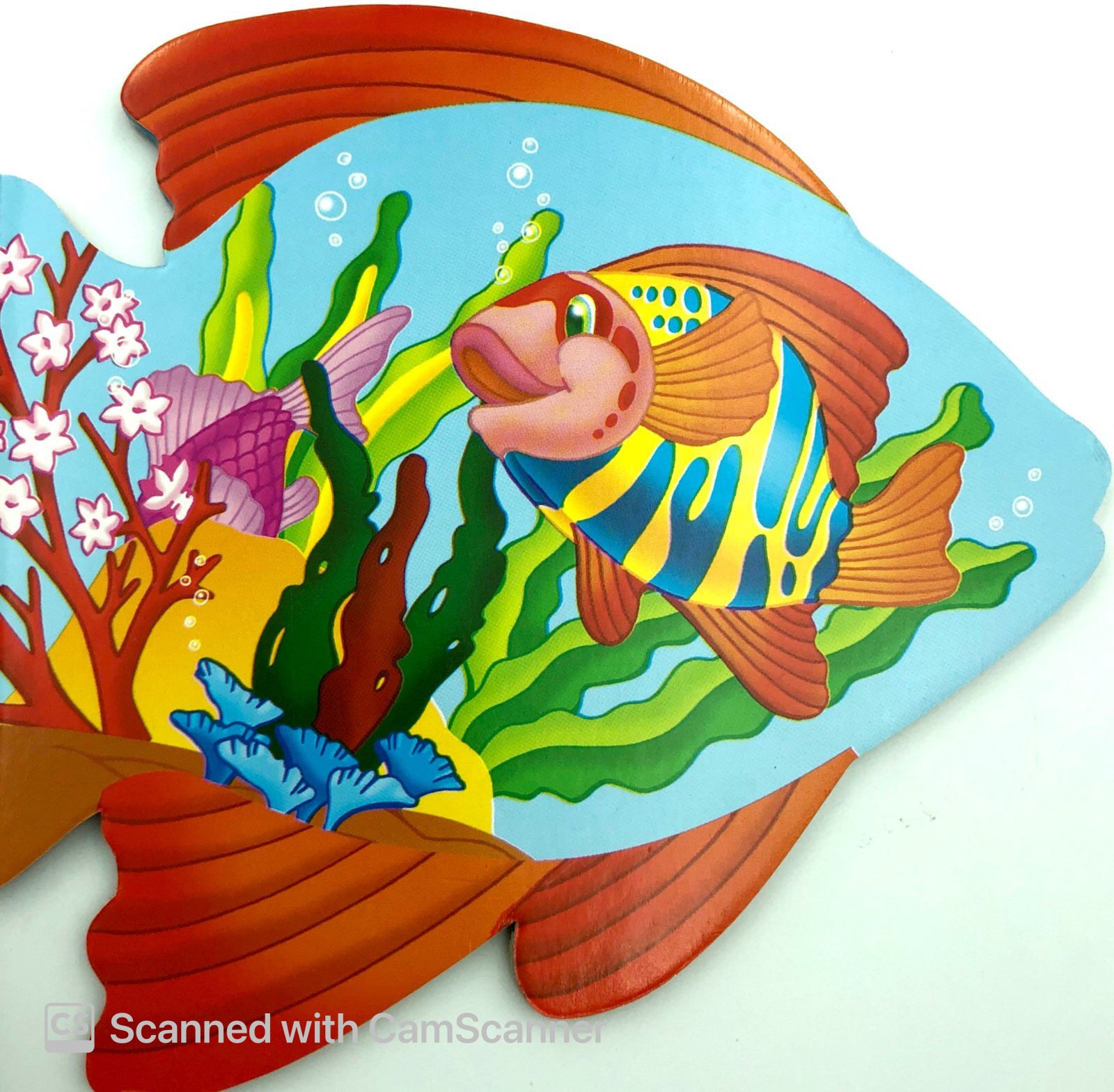 những người bạn tốt - cá con thân thiện - Ảnh 4