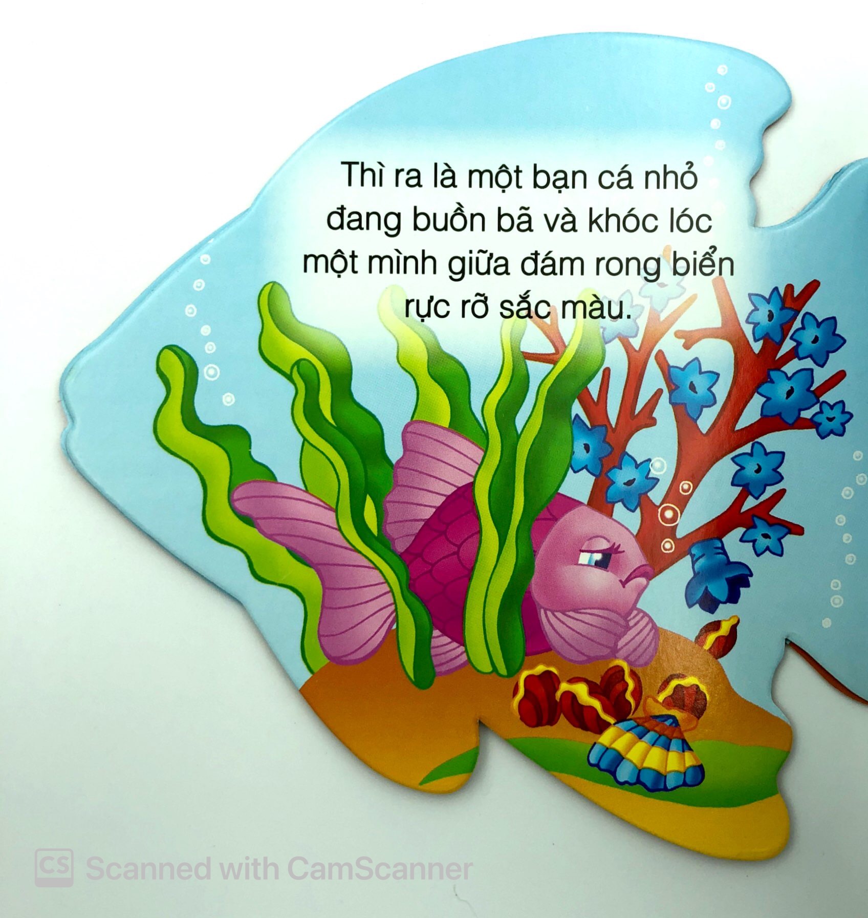 những người bạn tốt - cá con thân thiện - Ảnh 5