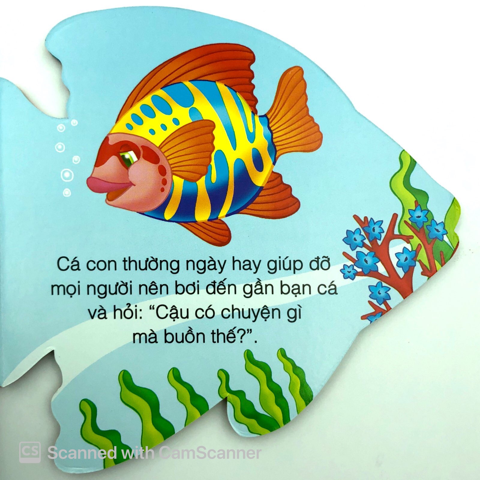 những người bạn tốt - cá con thân thiện - Ảnh 6