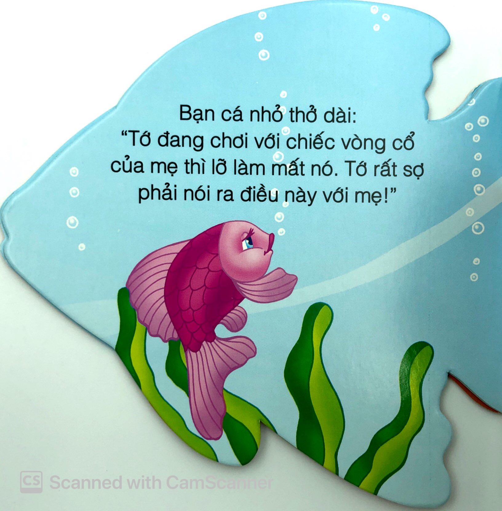 những người bạn tốt - cá con thân thiện - Ảnh 7