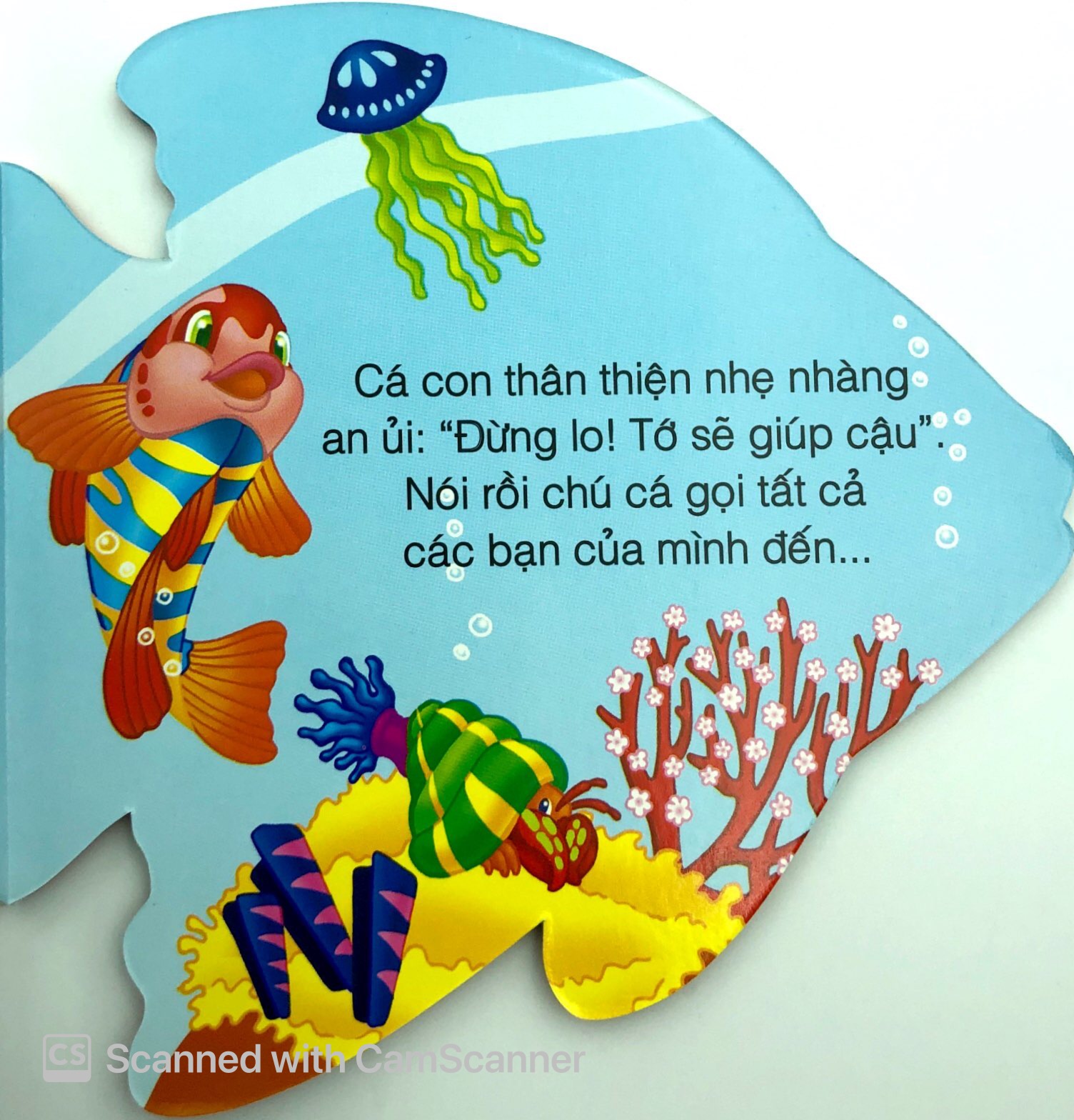 những người bạn tốt - cá con thân thiện - Ảnh 8