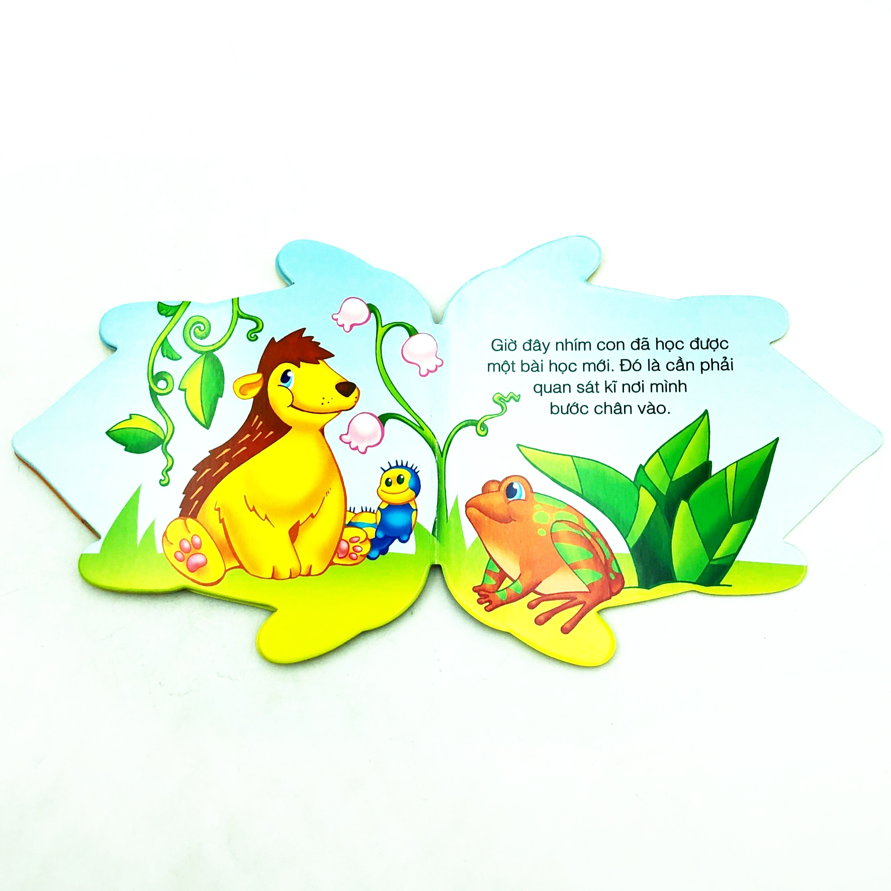 những người bạn tốt - chú nhím bất cẩn - Ảnh 7