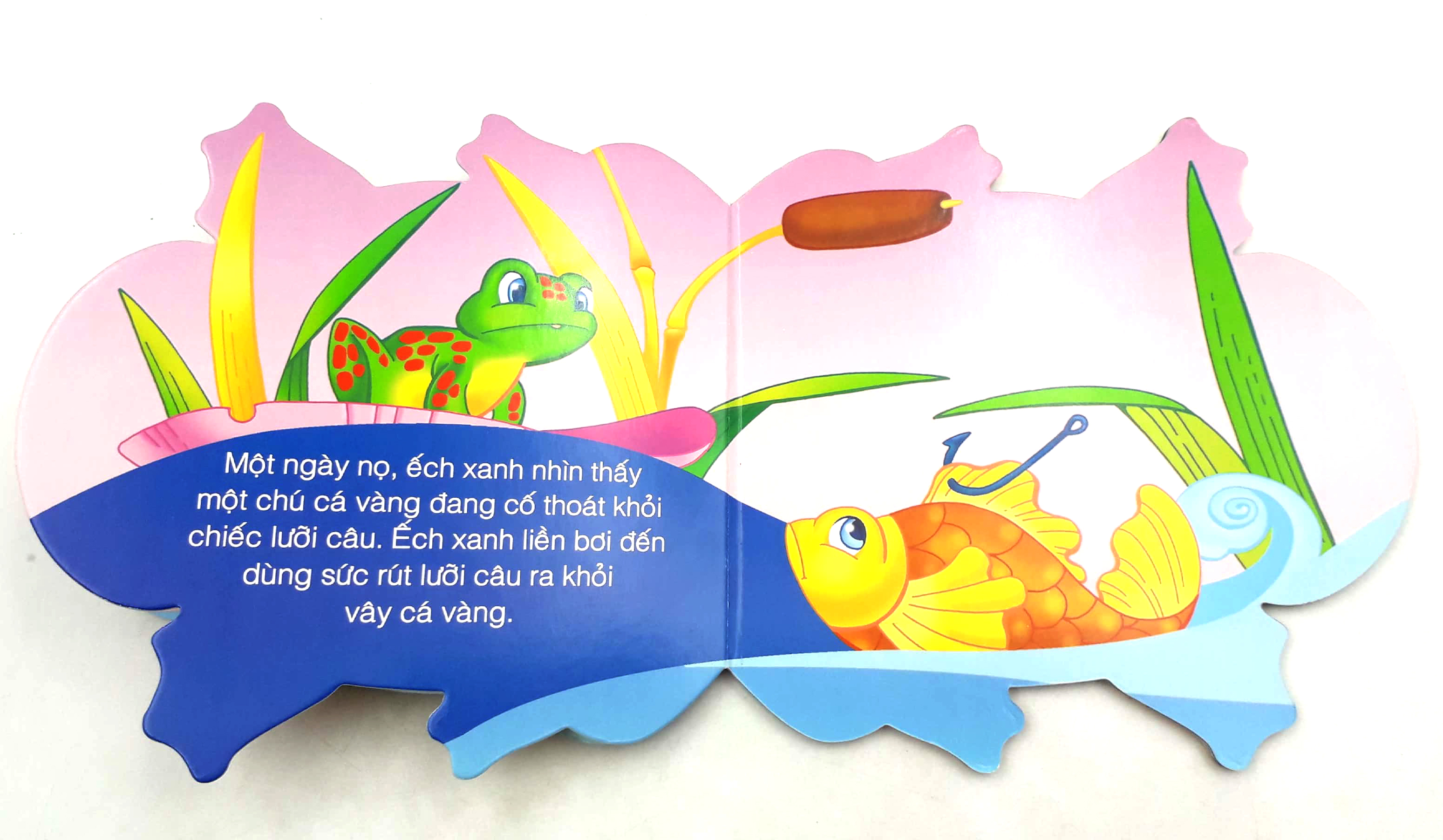 những người bạn tốt - ếch xanh hát hay - Ảnh 4