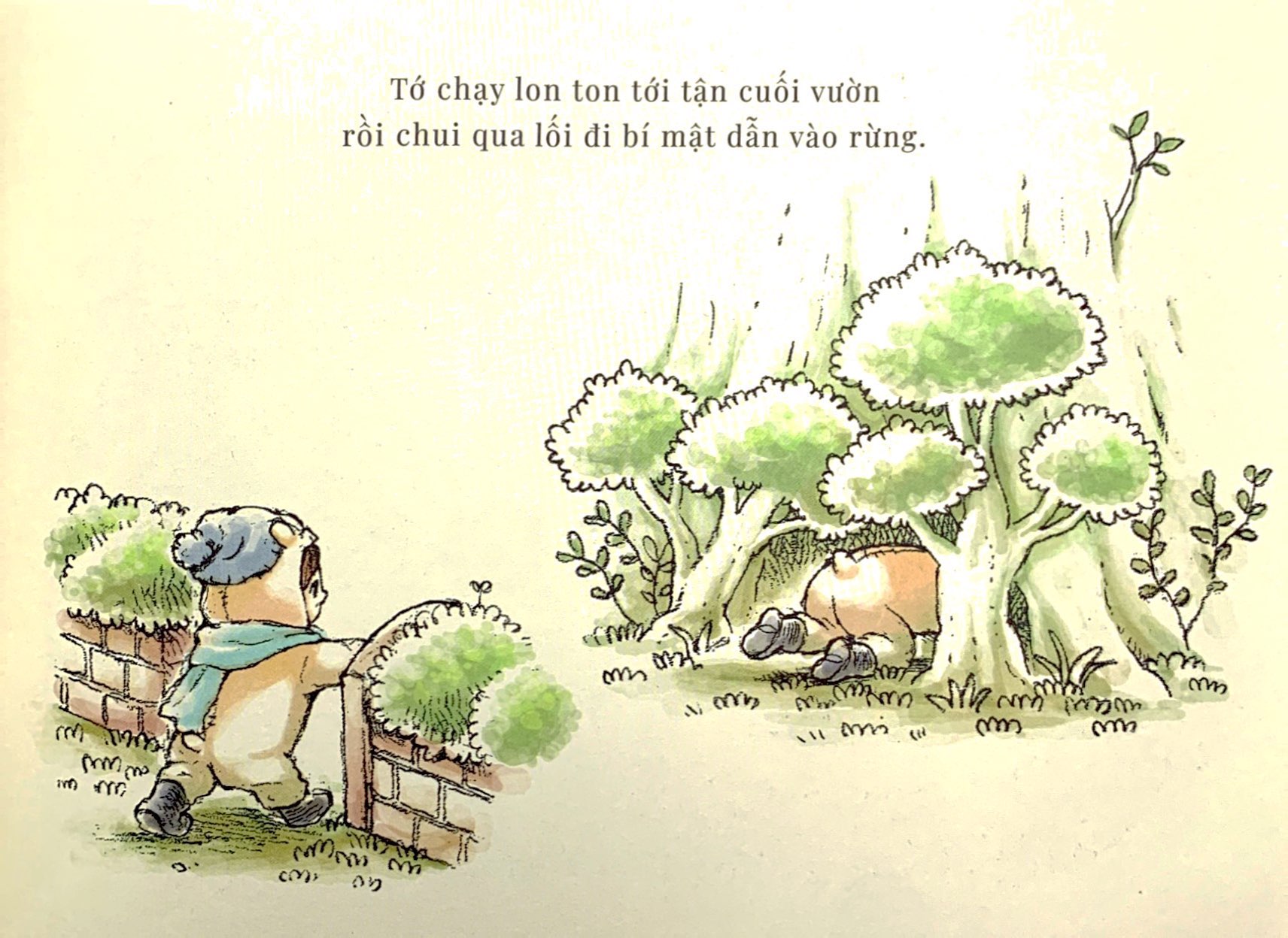 những người bạn tròn xoe - quả của trời - Ảnh 5