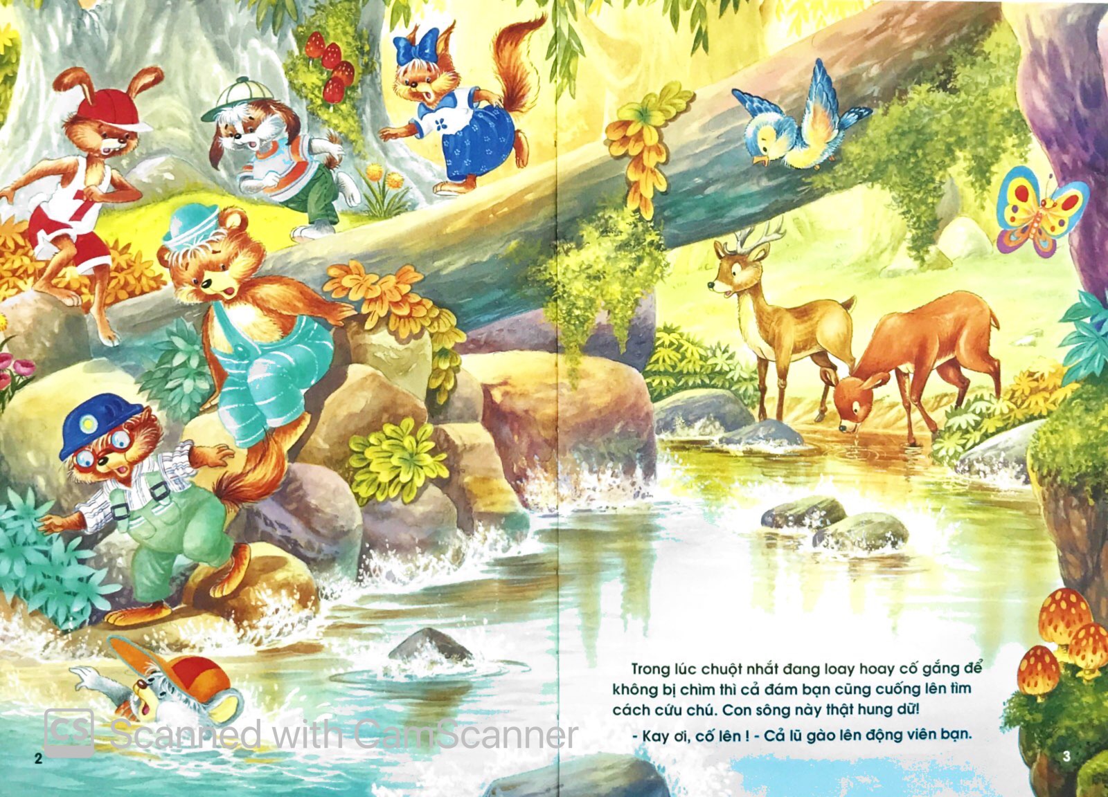 những người bạn trong rừng xanh - Ảnh 2