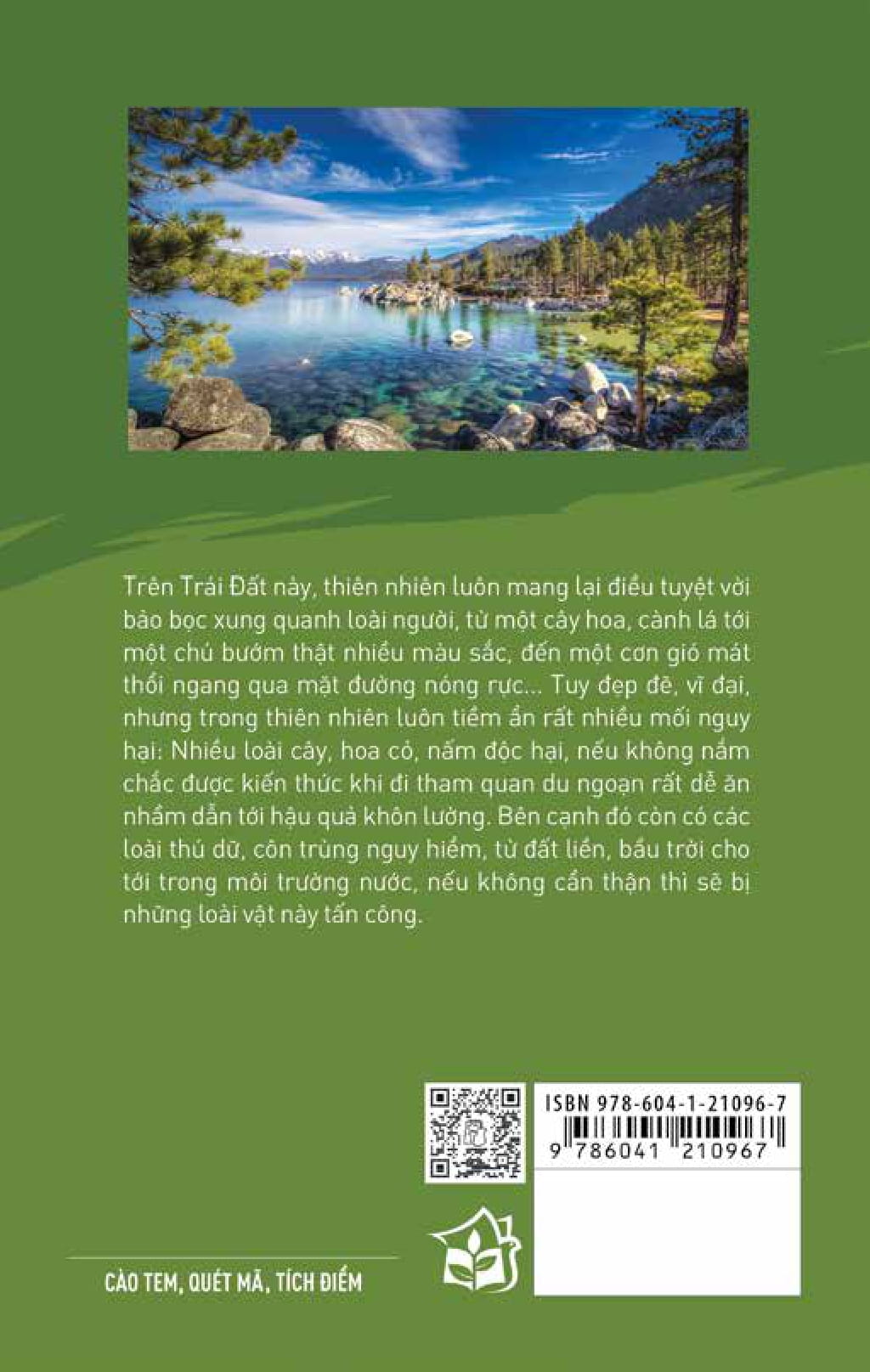 những nguy hiểm từ thiên nhiên - Ảnh 13