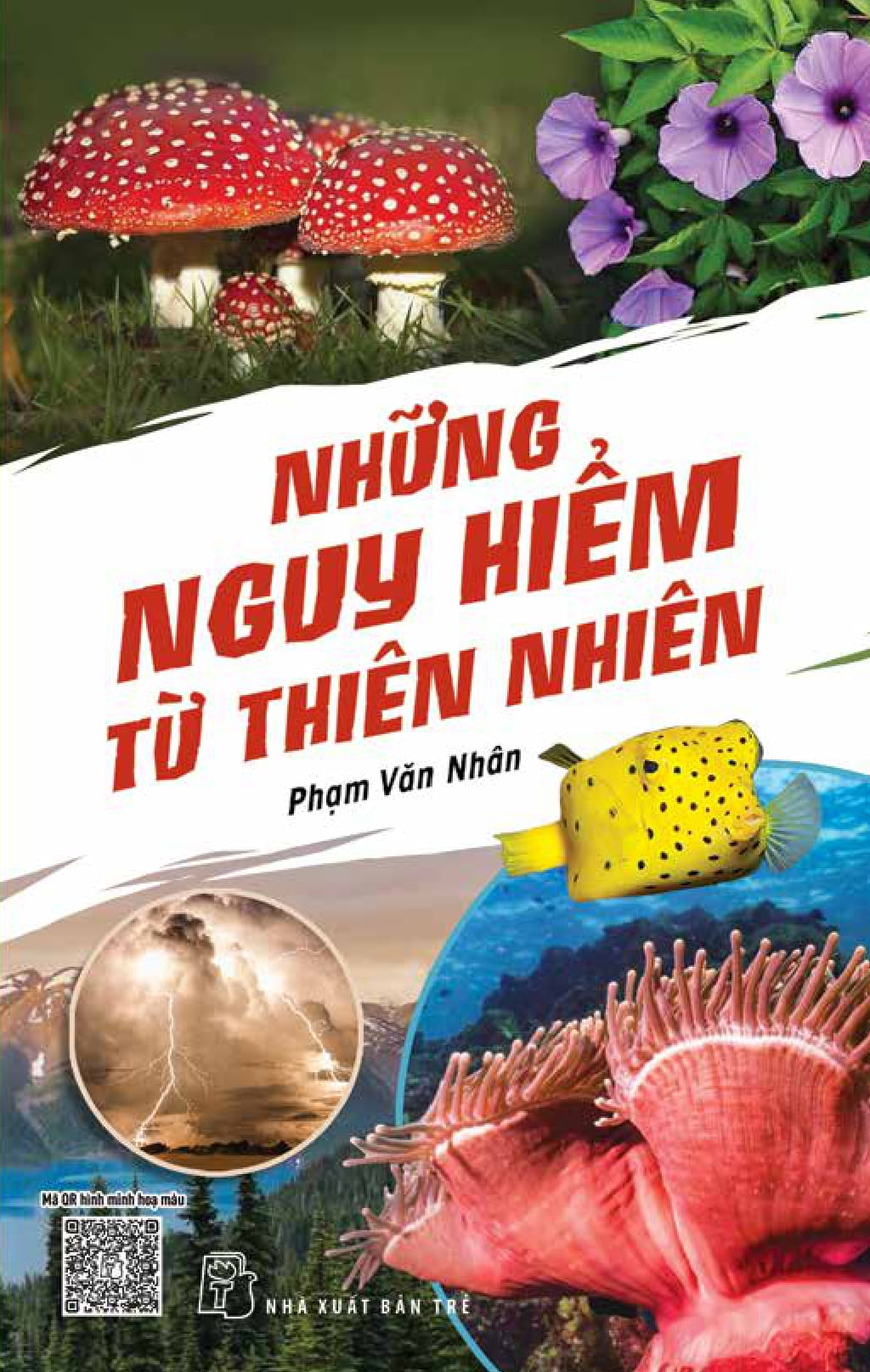 những nguy hiểm từ thiên nhiên - Ảnh 2