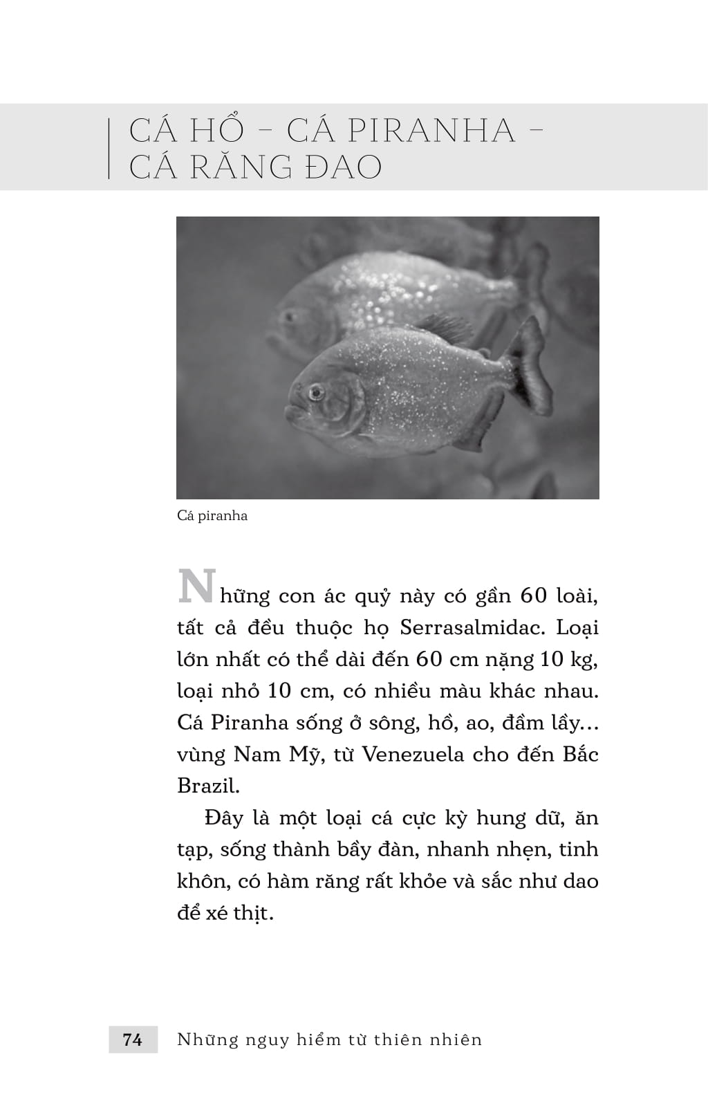 những nguy hiểm từ thiên nhiên - Ảnh 5