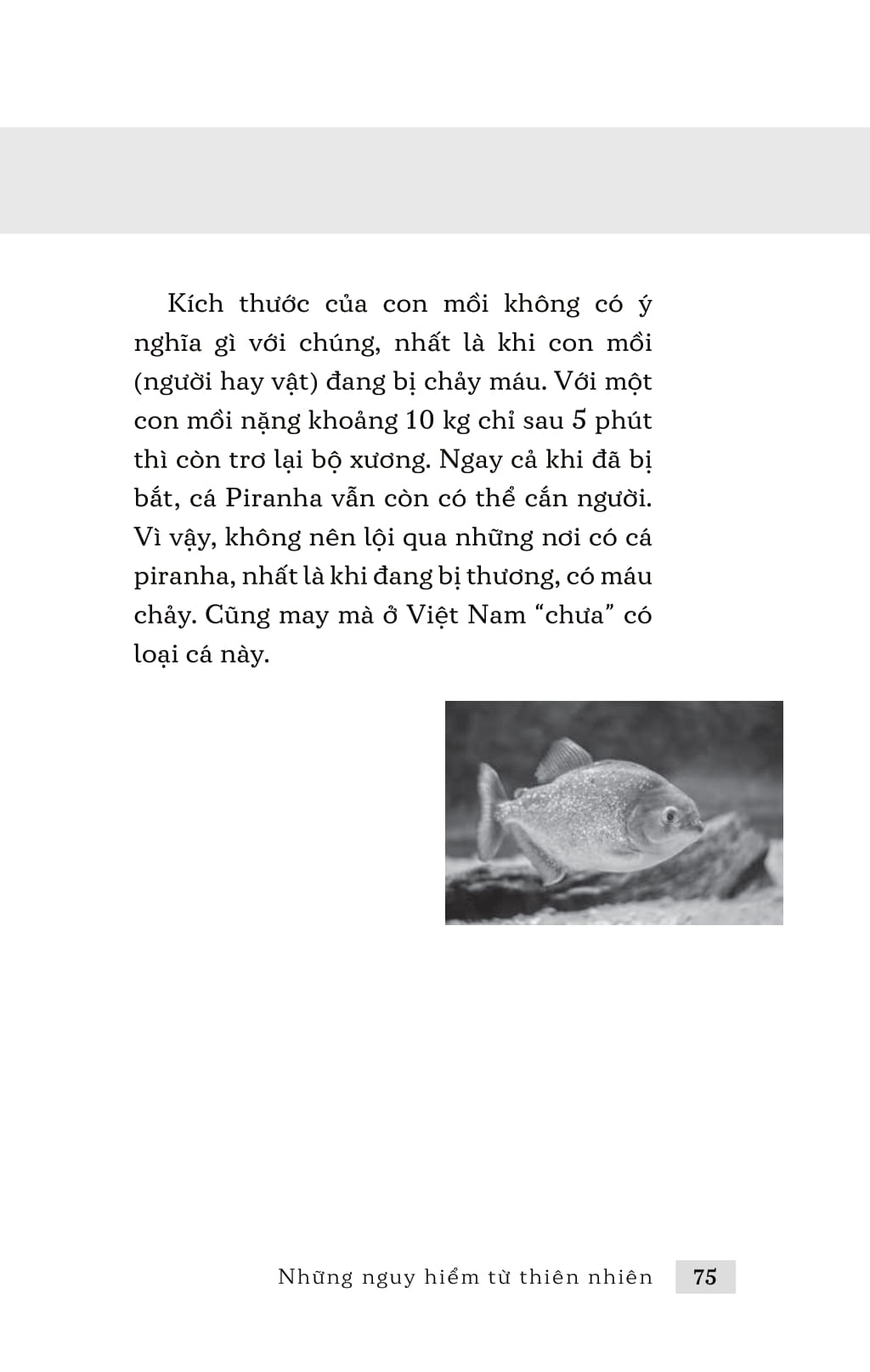 những nguy hiểm từ thiên nhiên - Ảnh 6