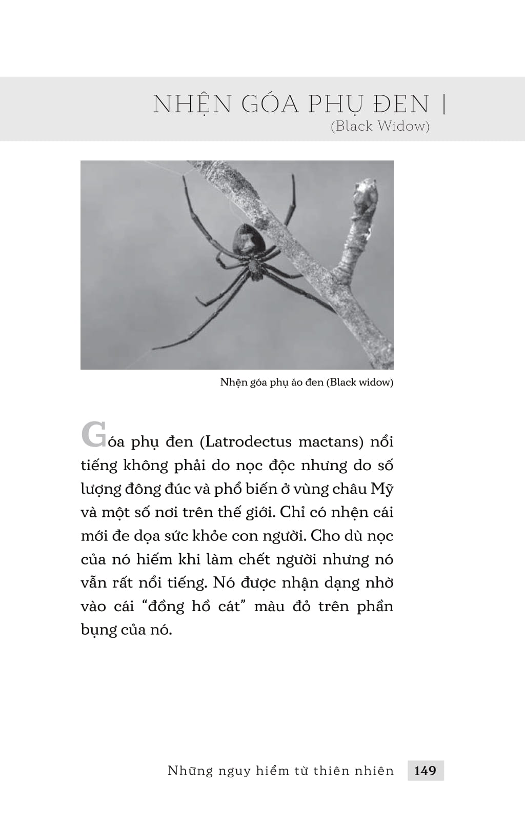 những nguy hiểm từ thiên nhiên - Ảnh 9