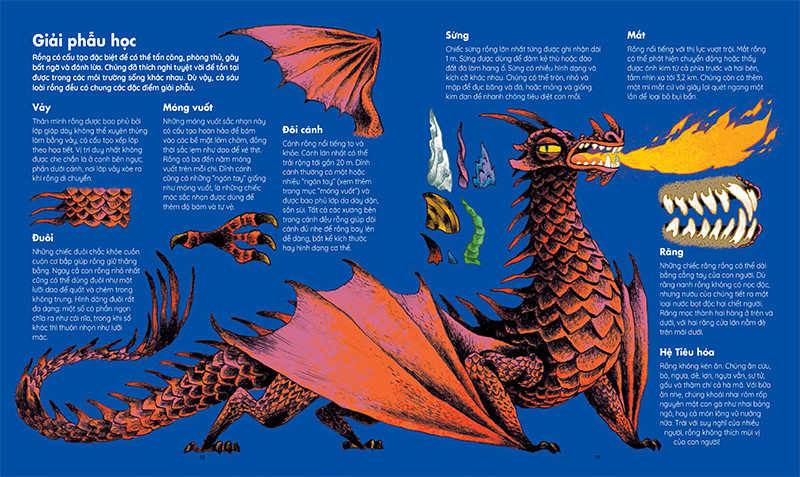những sinh vật huyền thoại - thế giới bí ẩn của loài rồng - Ảnh 8