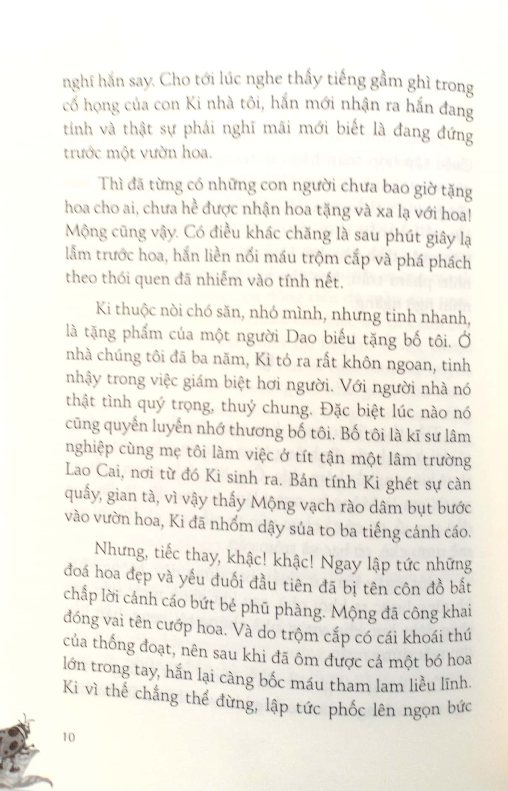 những truyện hay viết cho thiếu nhi - ma văn kháng (tái bản 2023) - Ảnh 8