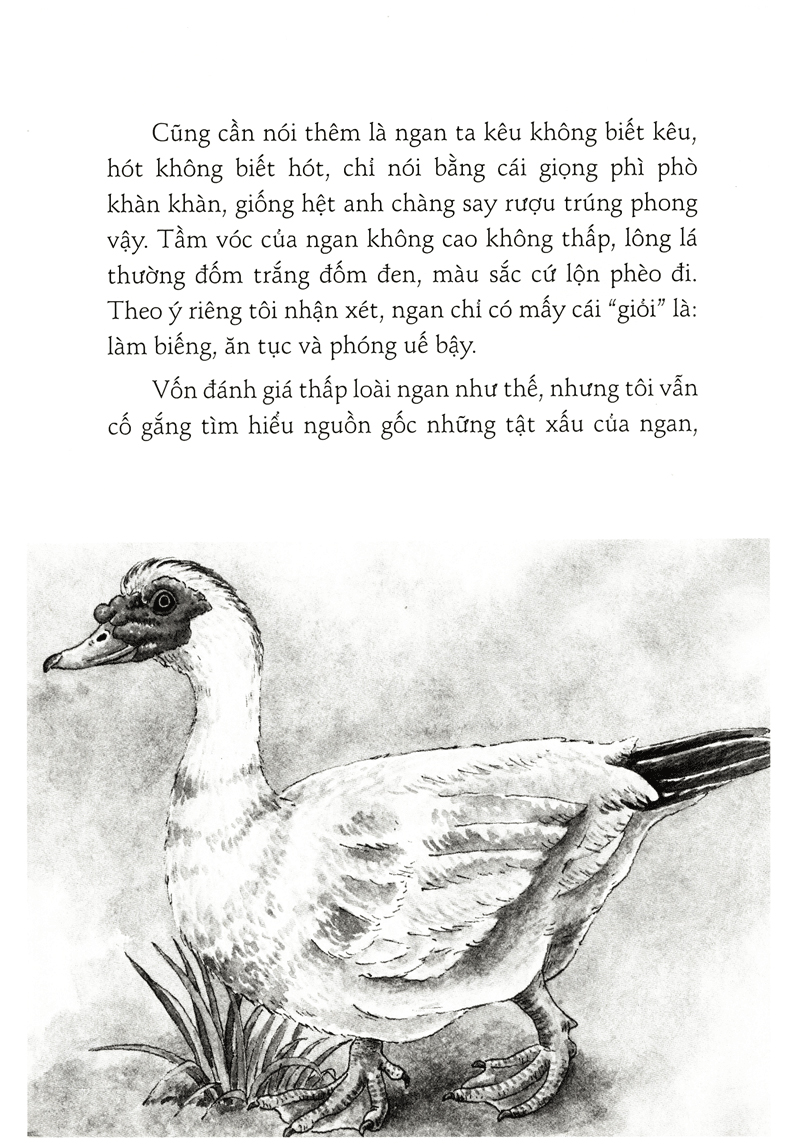 những truyện hay viết cho thiếu nhi - vũ tú nam (tái bản 2020) - Ảnh 7