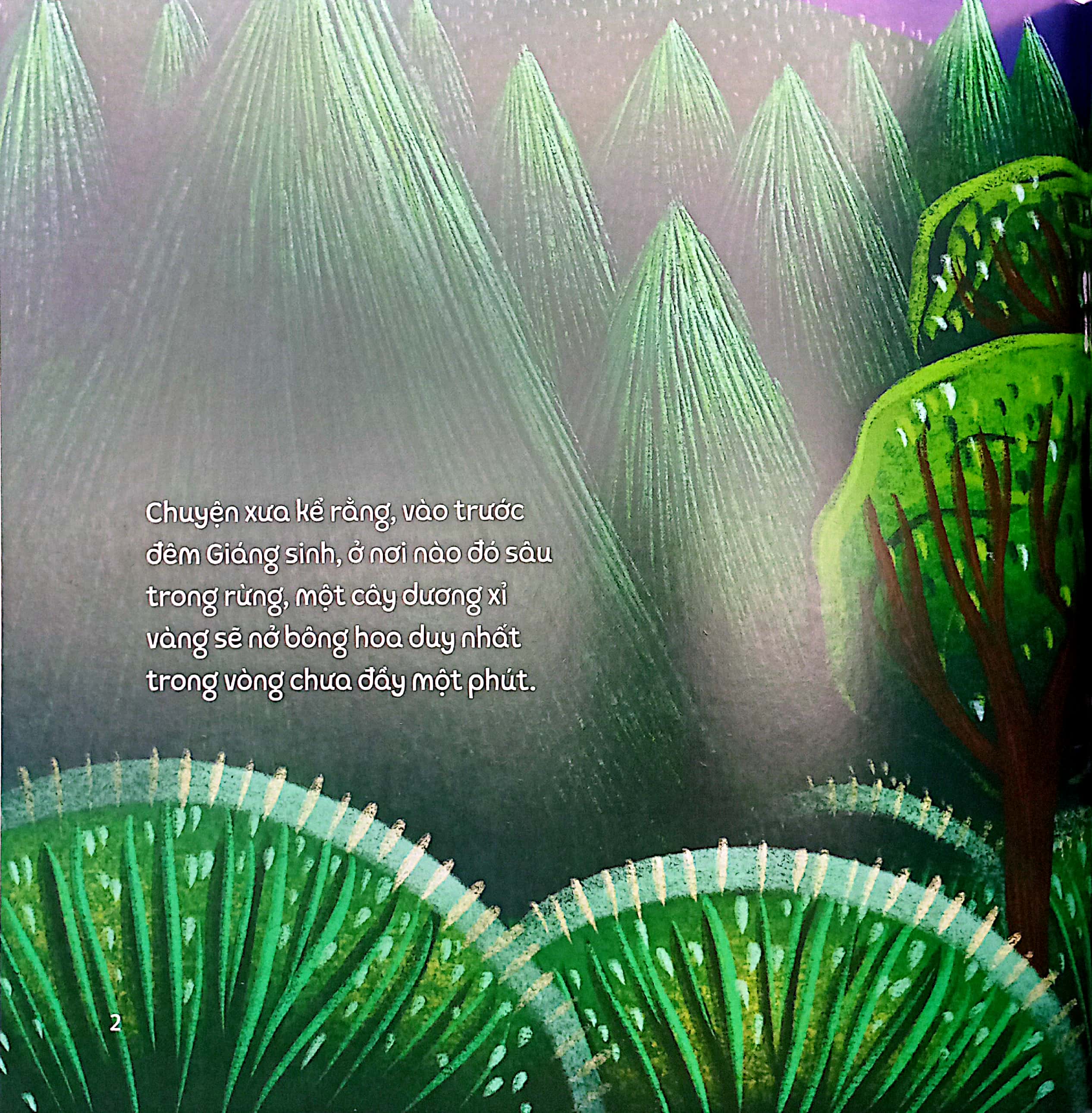 những truyền thuyết không thể không biết của ba lan - hoa dương xỉ thần kì - Ảnh 3