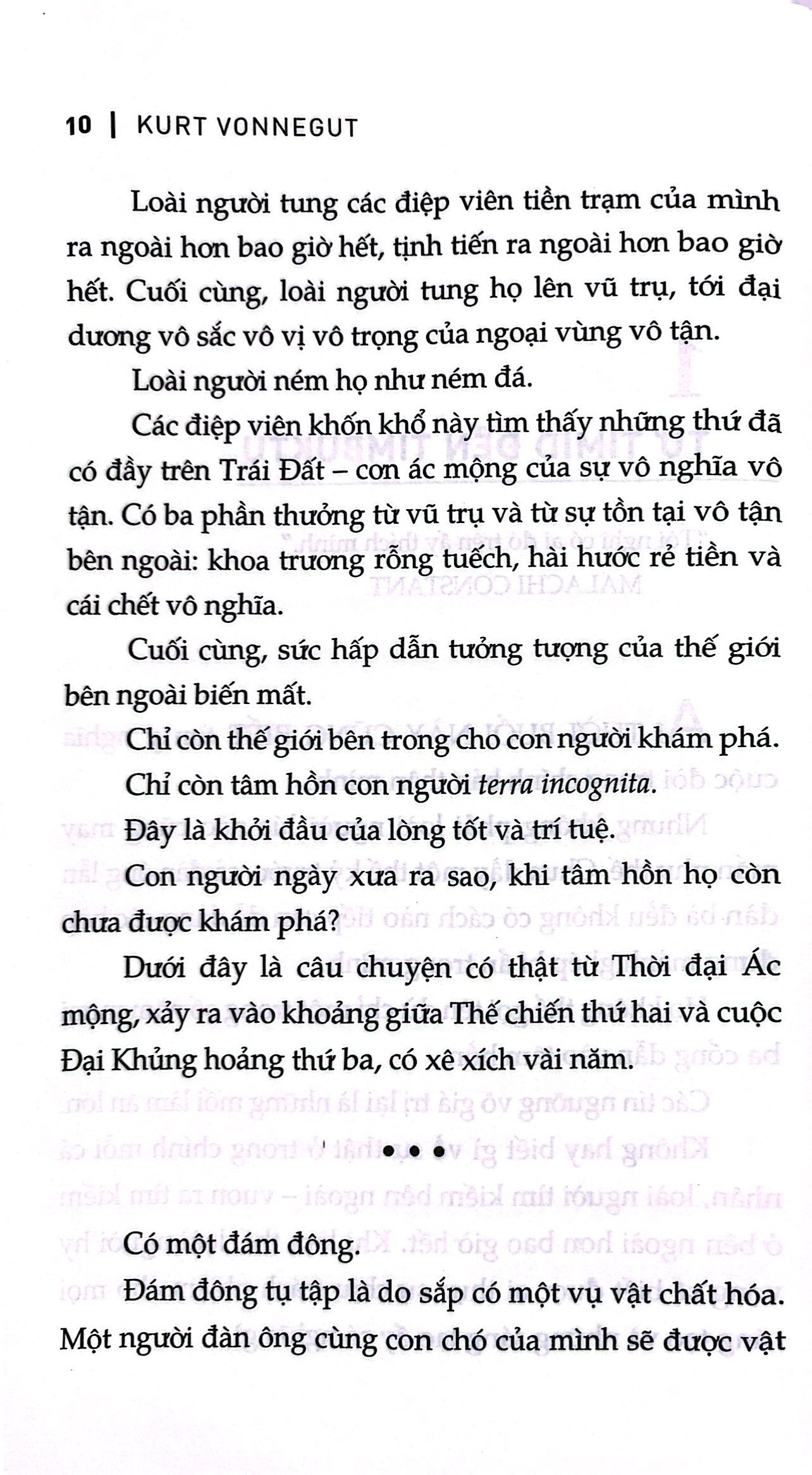 những yêu nữ xứ titan - Ảnh 6