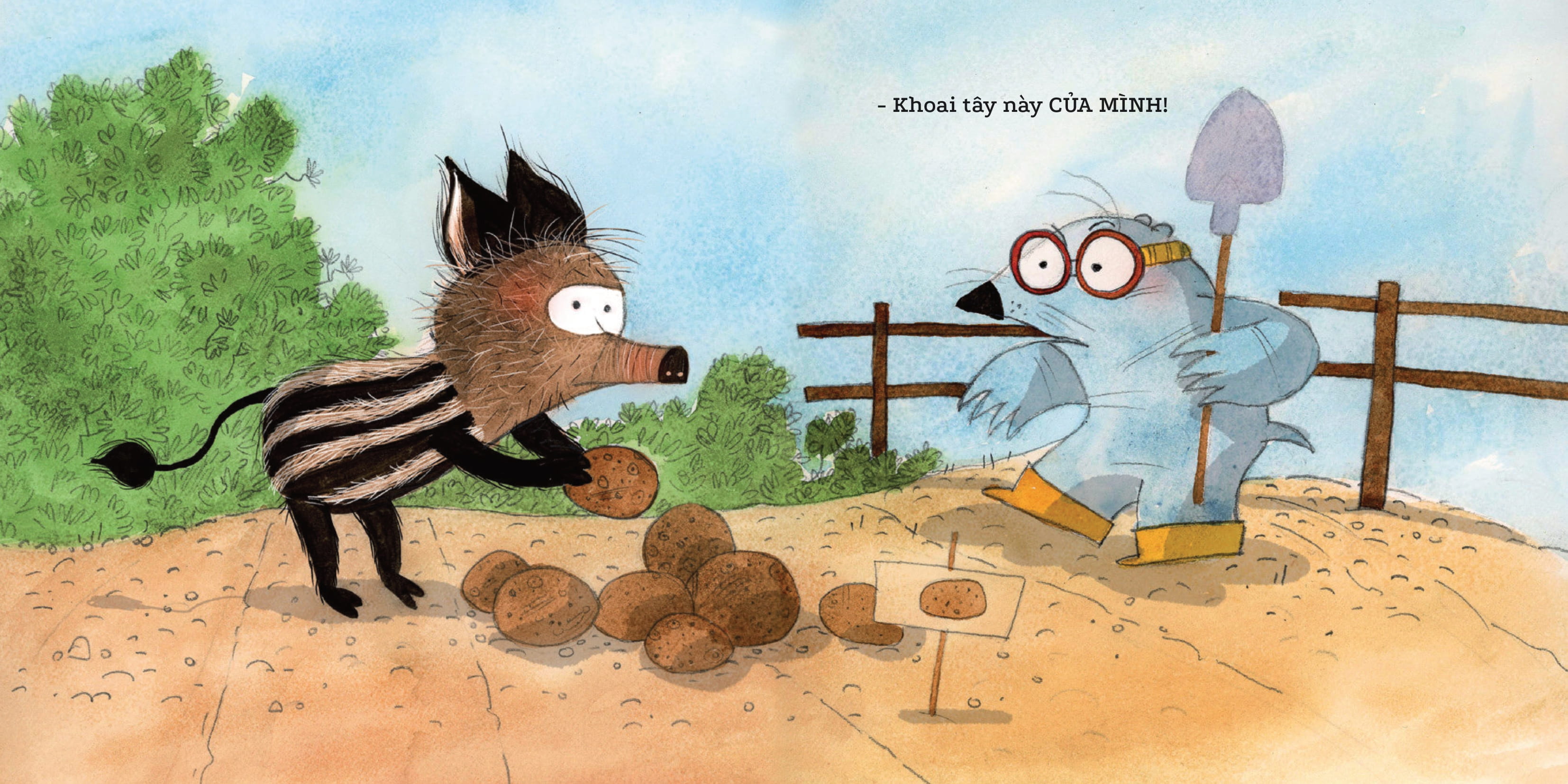 niềm vui mỗi ngày - kho báu đích thực - Ảnh 6