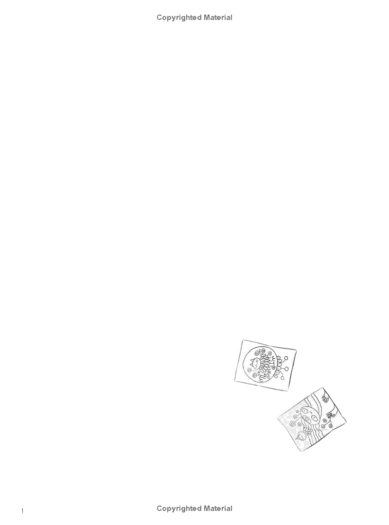 nightlights - Ảnh 6