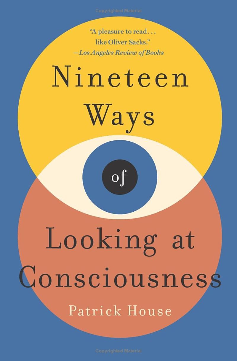 nineteen ways of looking at consciousness - Ảnh 2