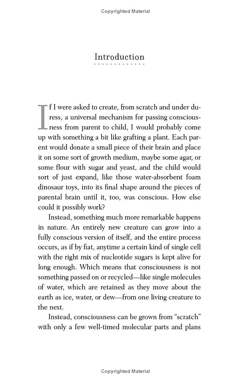 nineteen ways of looking at consciousness - Ảnh 5