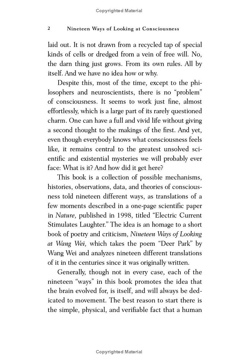 nineteen ways of looking at consciousness - Ảnh 6