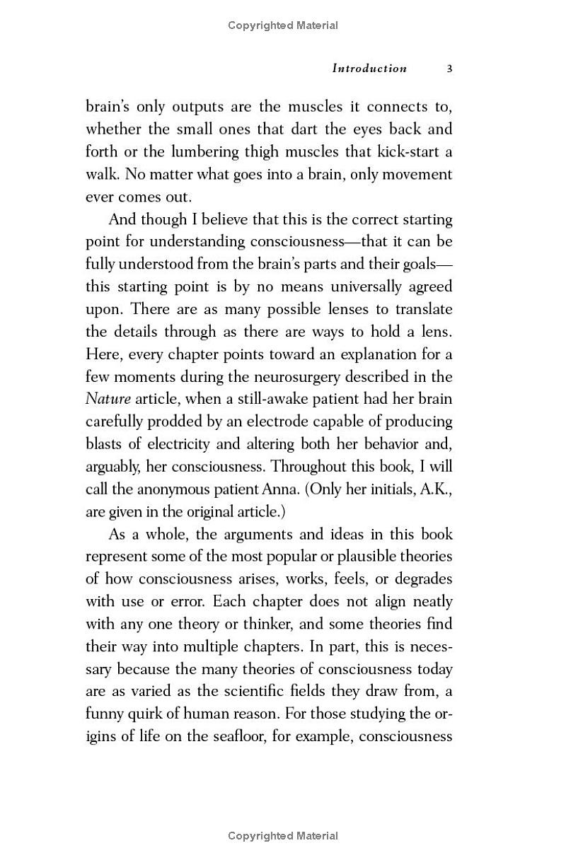 nineteen ways of looking at consciousness - Ảnh 7