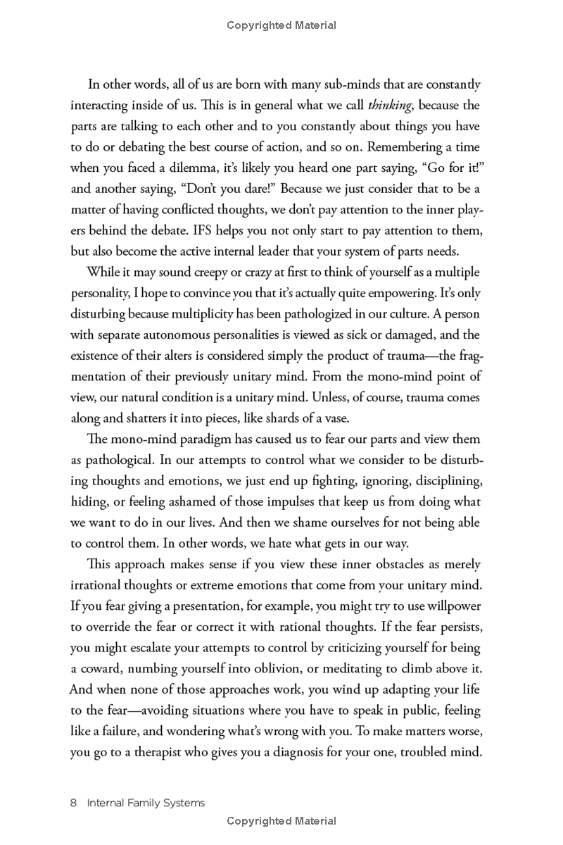 no bad parts: healing trauma and restoring wholeness with the internal family systems model - Ảnh 10