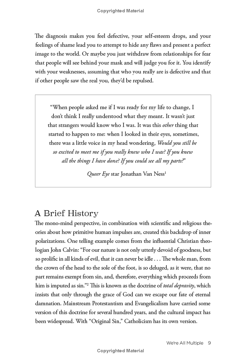 no bad parts: healing trauma and restoring wholeness with the internal family systems model - Ảnh 11