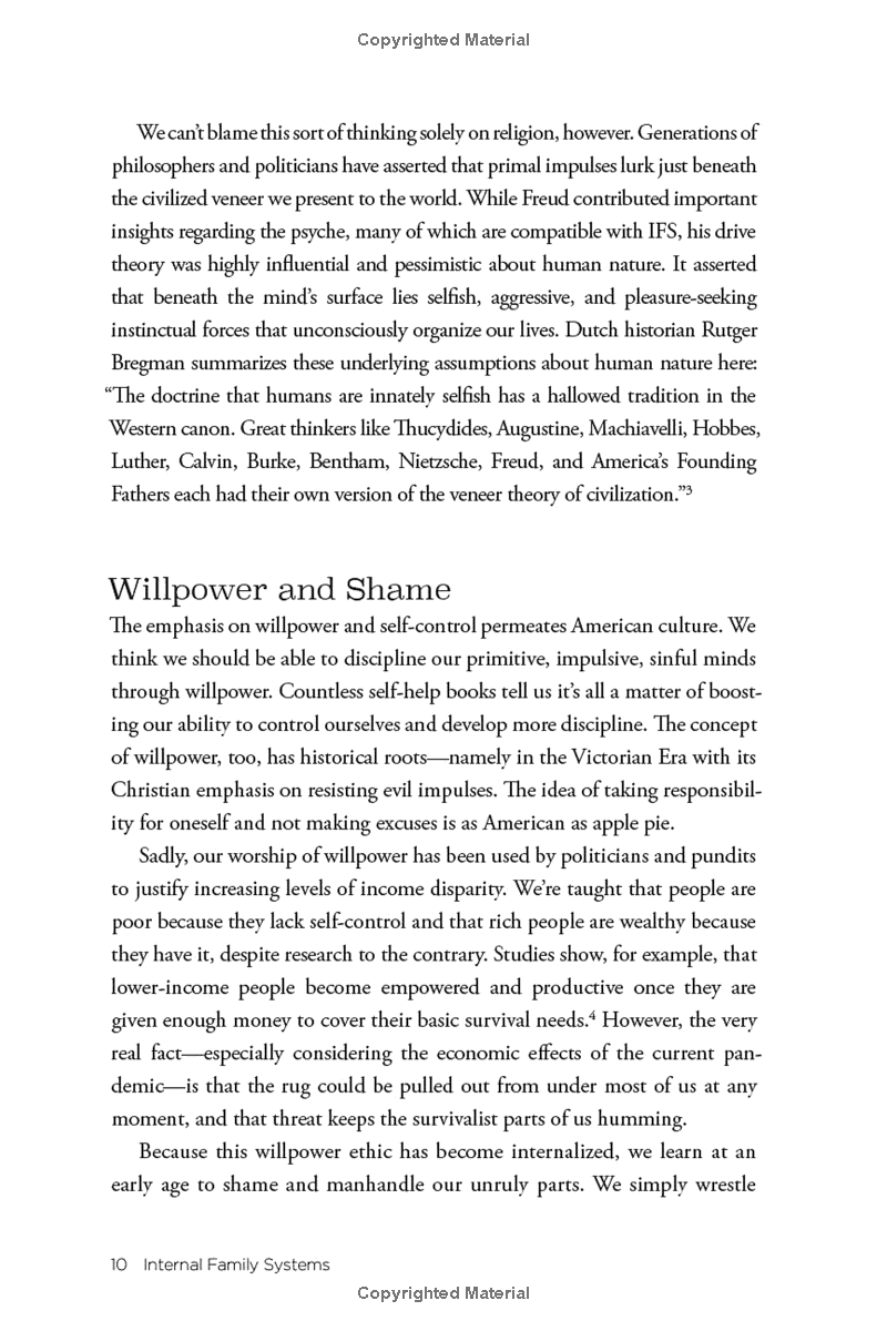 no bad parts: healing trauma and restoring wholeness with the internal family systems model - Ảnh 12