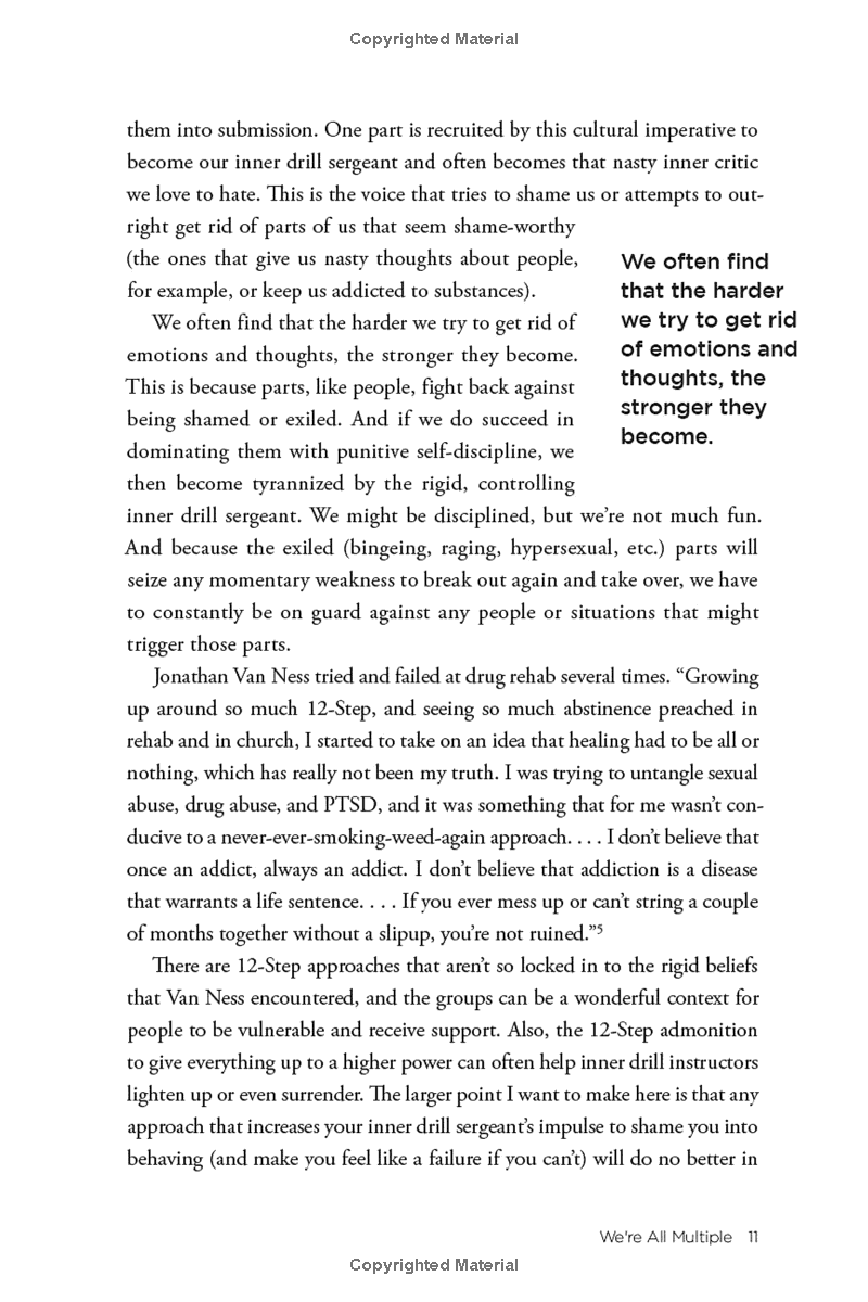 no bad parts: healing trauma and restoring wholeness with the internal family systems model - Ảnh 13