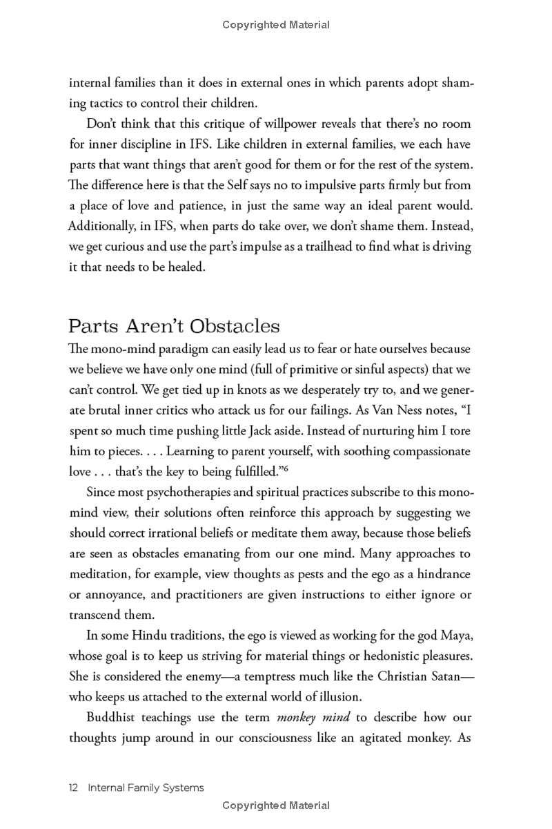 no bad parts: healing trauma and restoring wholeness with the internal family systems model - Ảnh 14