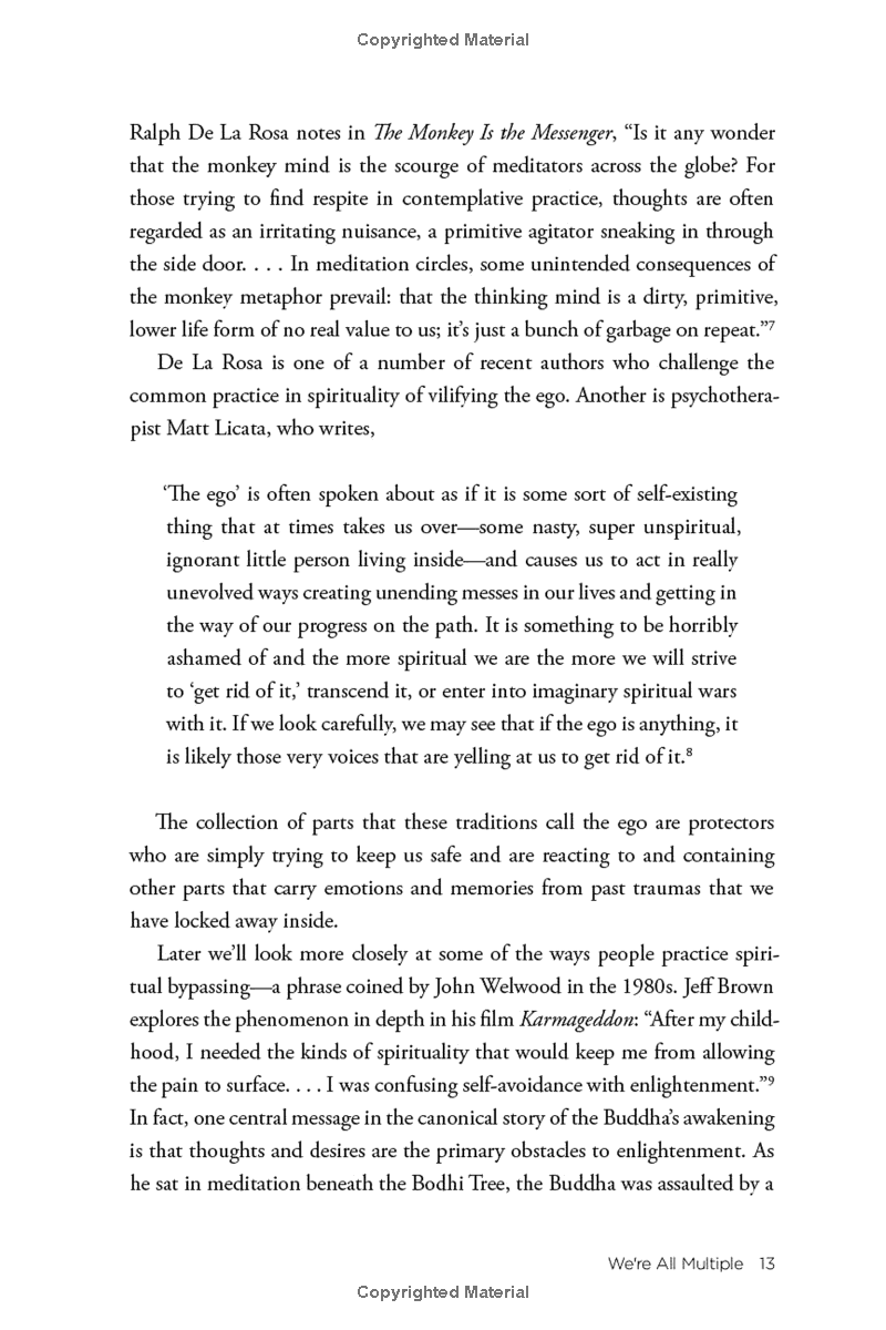 no bad parts: healing trauma and restoring wholeness with the internal family systems model - Ảnh 15