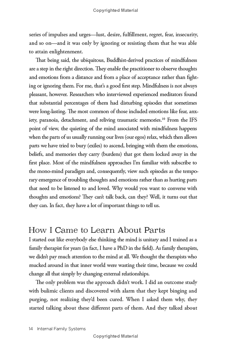 no bad parts: healing trauma and restoring wholeness with the internal family systems model - Ảnh 16